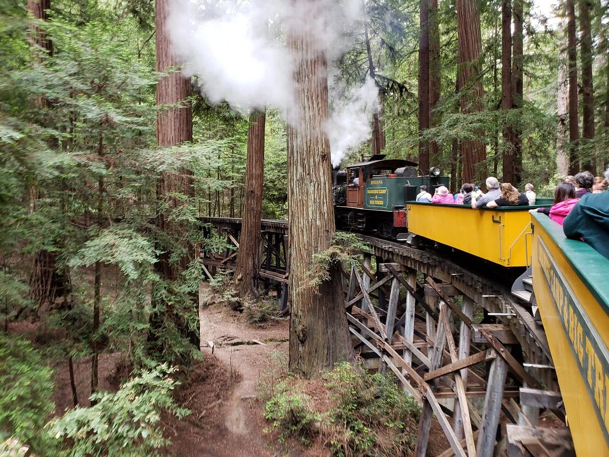 A Day at Henry Cowell and Roaring Camp: The Felton Weekend Locals Never Get Tired Of