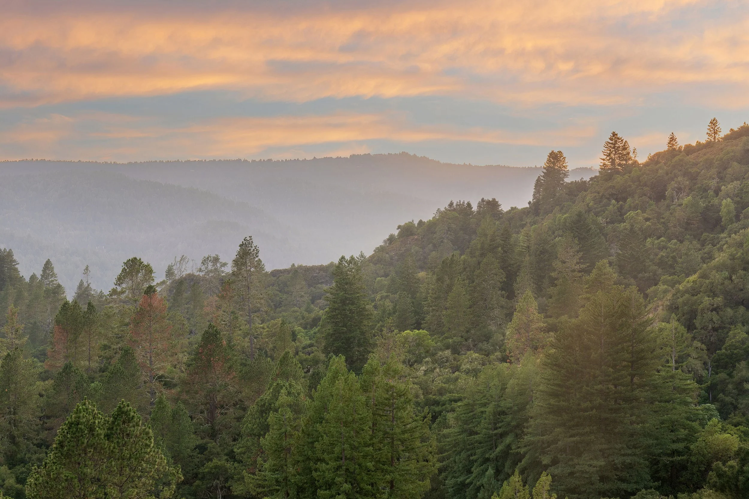 Getting Ready for Fire Season in Ben Lomond: A Realistic Checklist for Families
