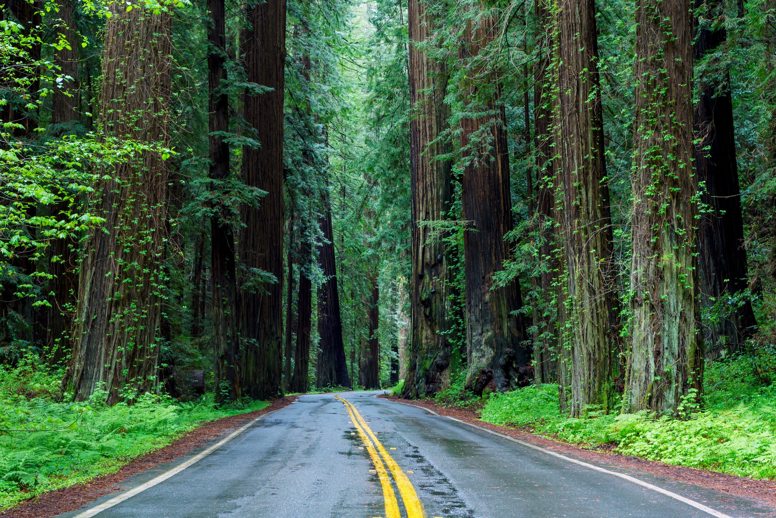 Highway 17 and Hybrid Work: What Commuting From Felton Actually Looks Like in 2026