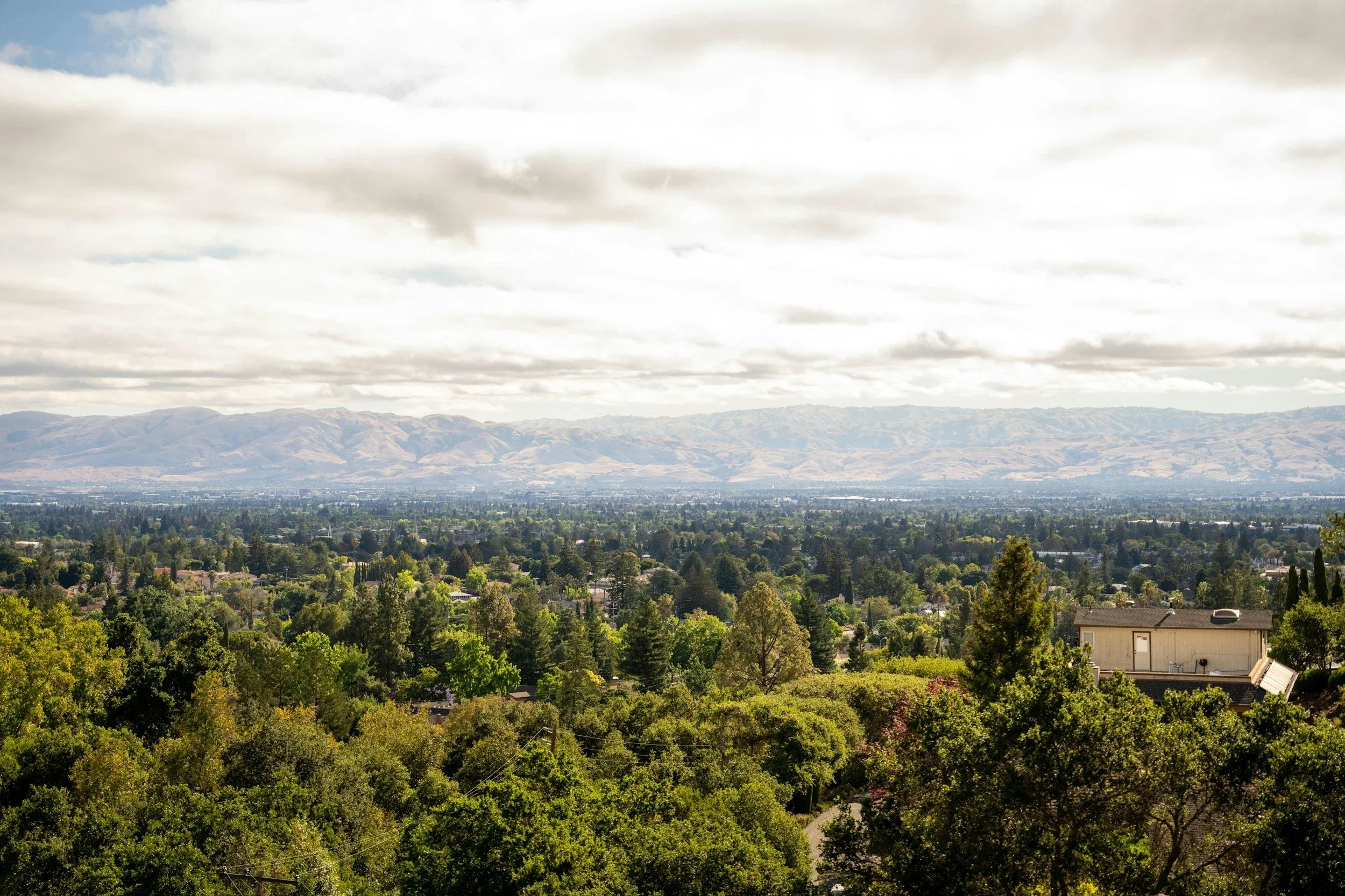 How to Evaluate a Neighborhood in the Santa Cruz Mountains (Not Just What You Read About It)