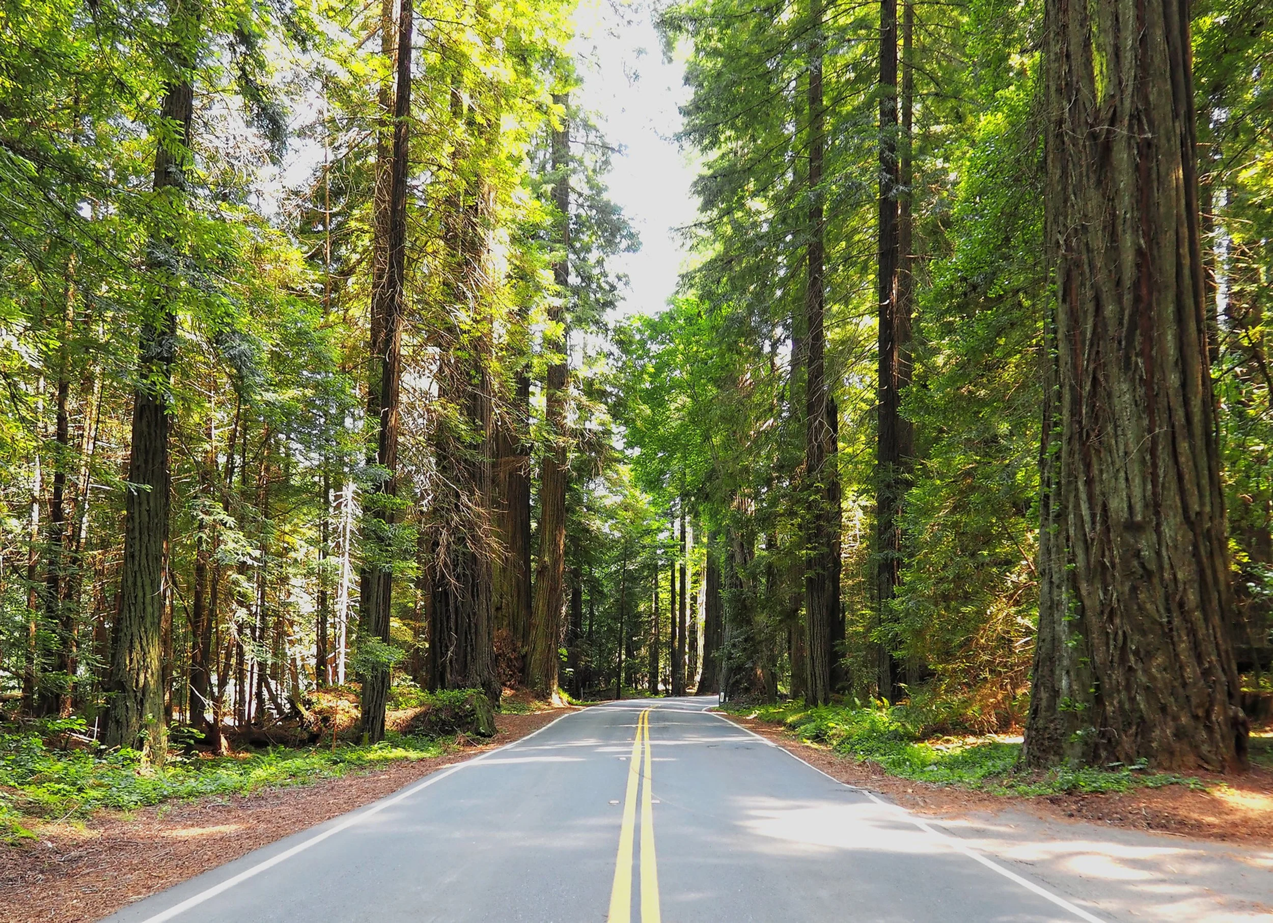 The Left Side of Highway 9 Gets More Sun. Yes, Really.