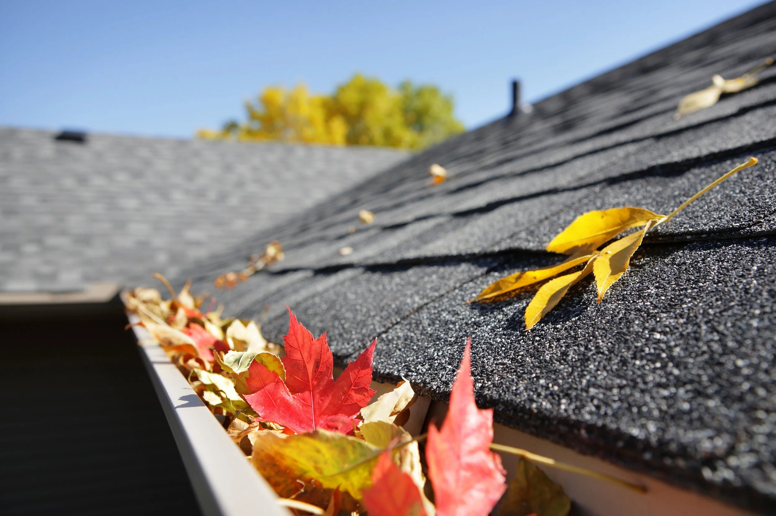 Before the First Storm: What Mountain Homeowners Do Every Fall