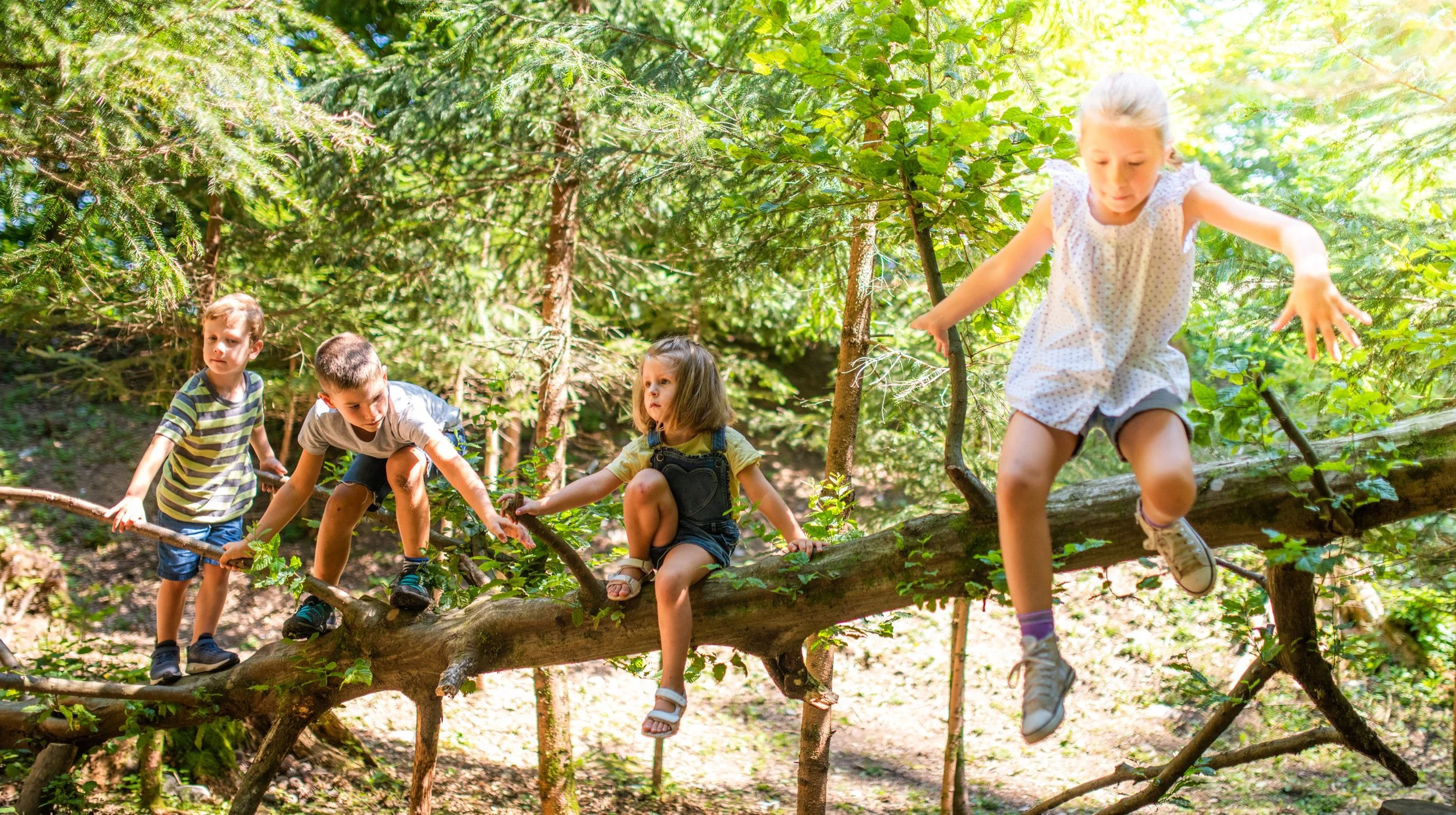 Raising Kids in Felton: San Lorenzo Valley Schools