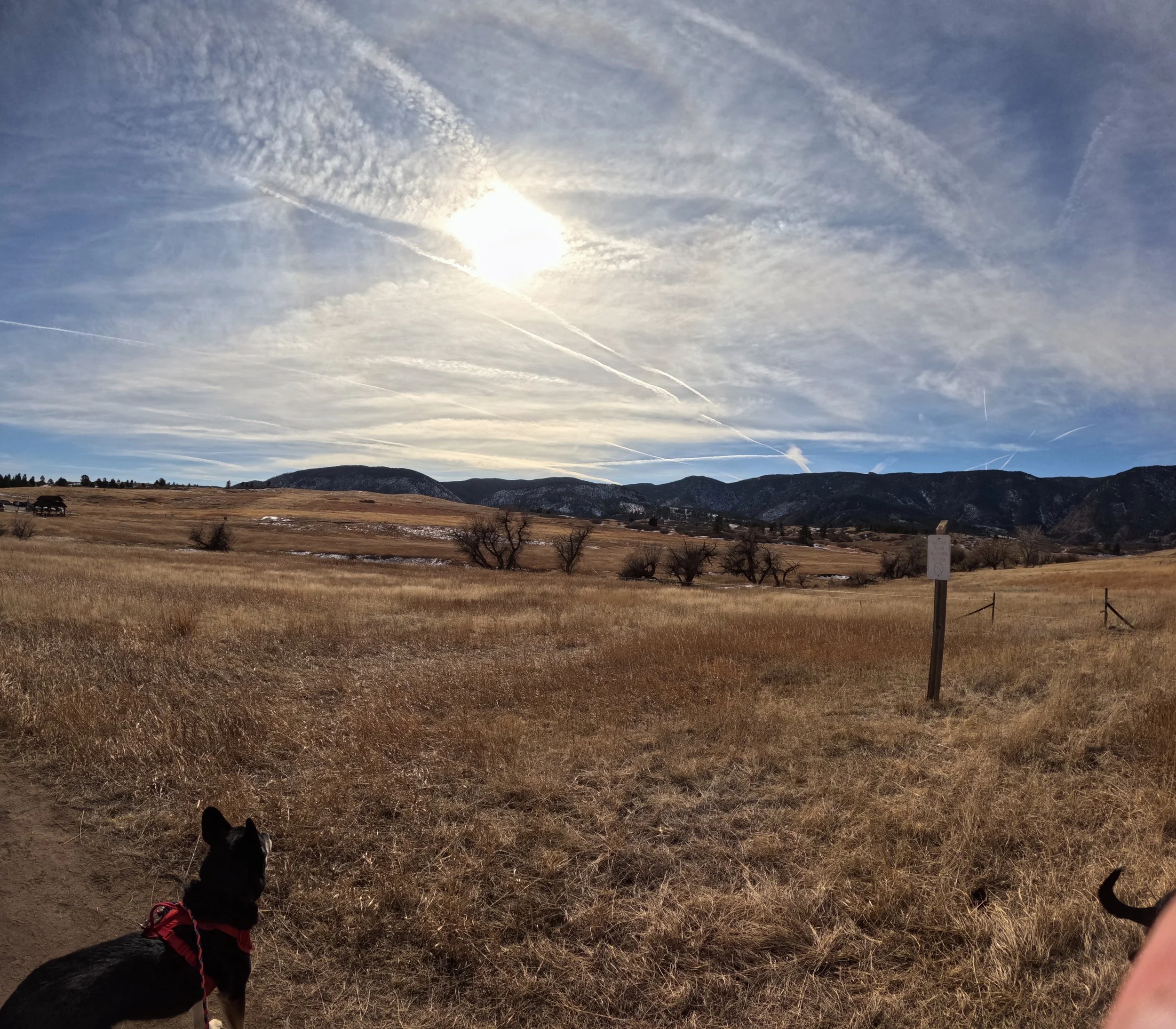 Finding Quiet Miles at Sandstone Ranch Open Space