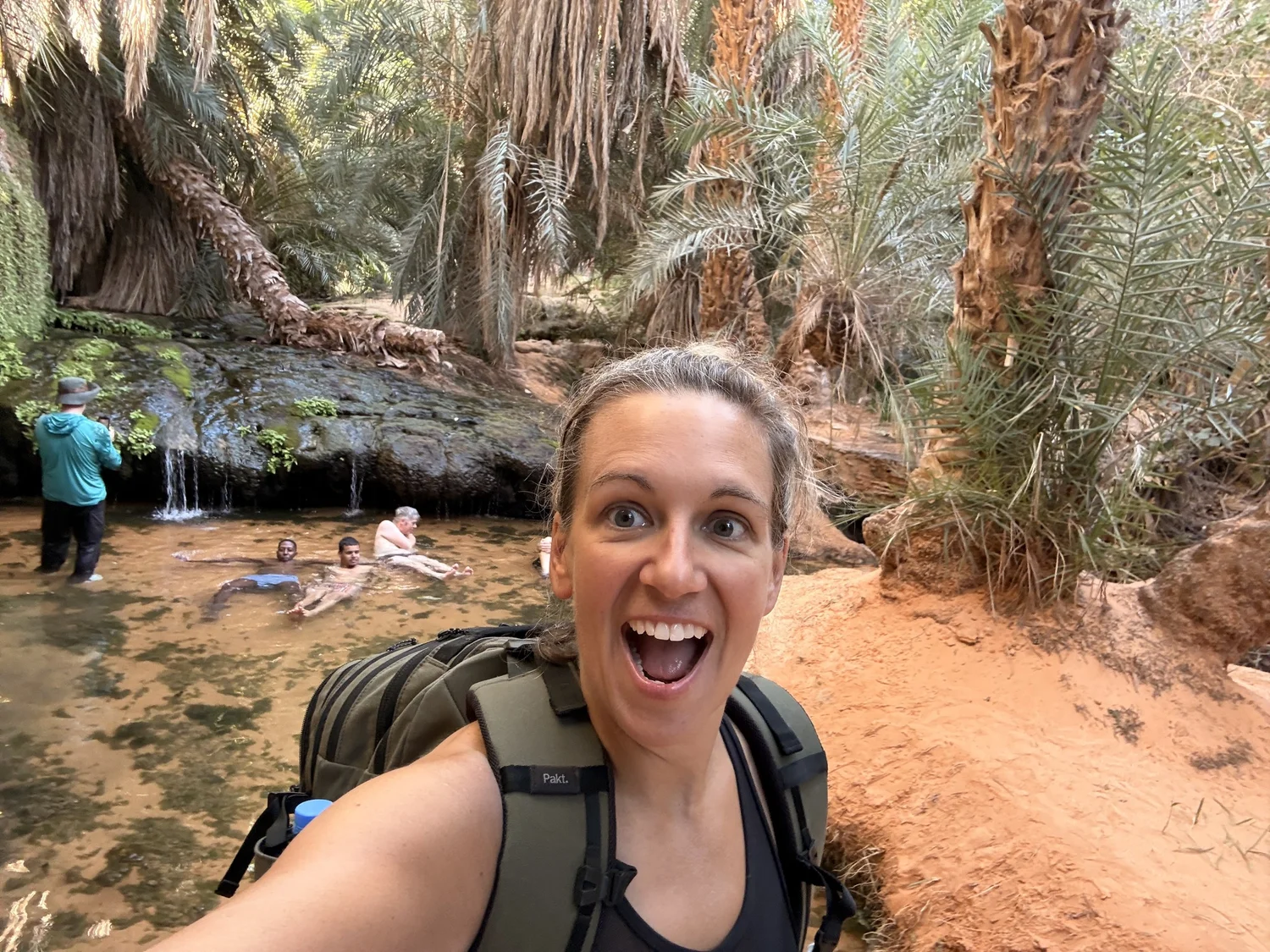Swimming in the Terjit oasis