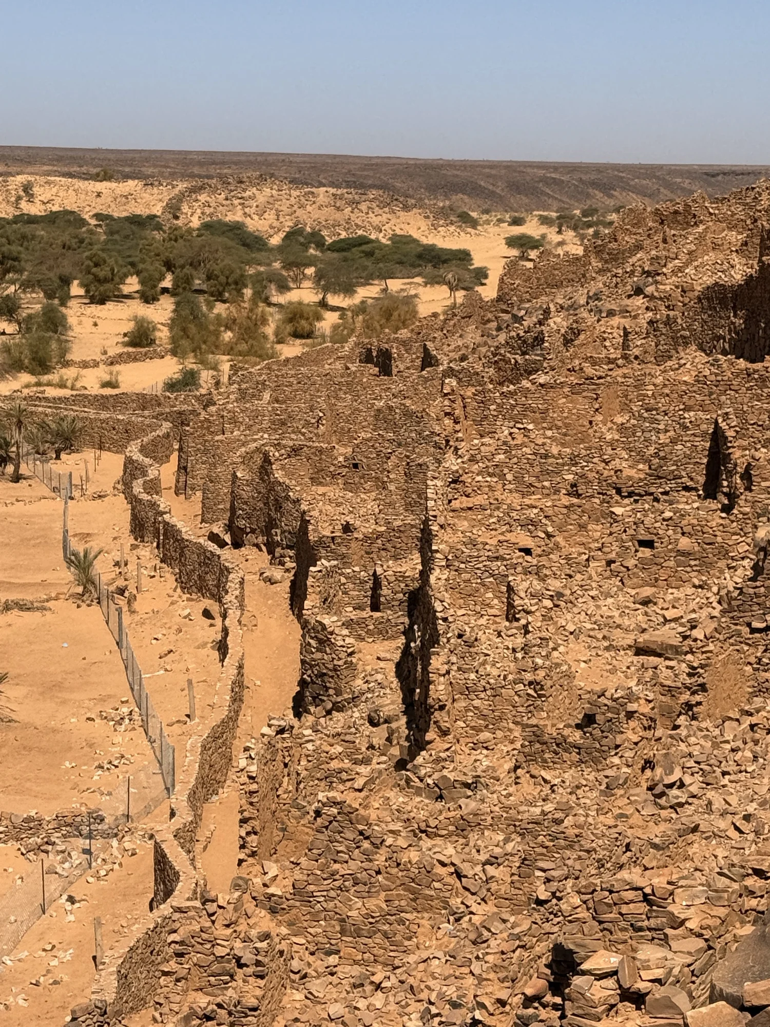 The ruined stone town of Ouadane above its palm valley