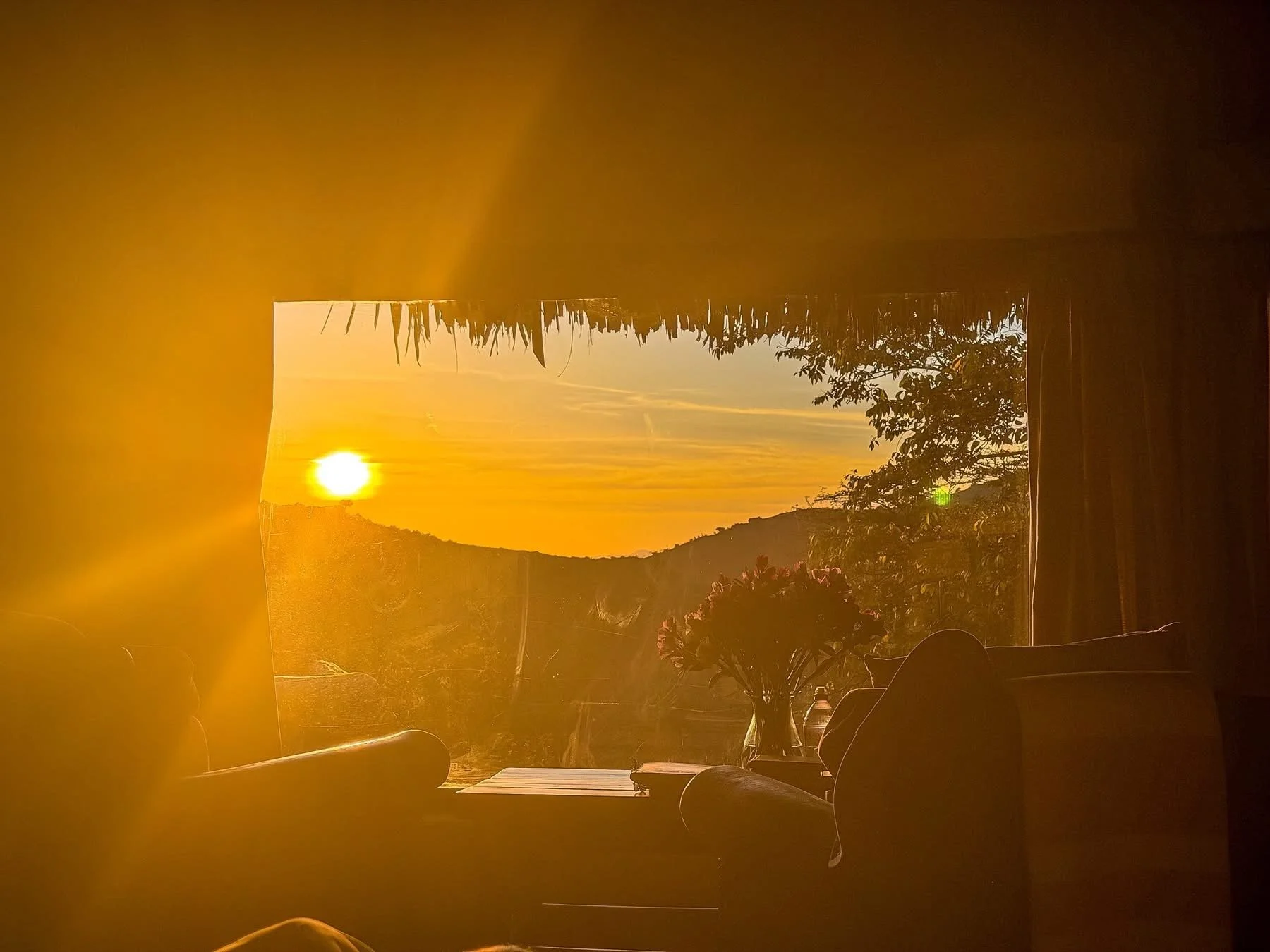 View of a sunset through a window with silhouette of a vase of flowers on a table inside a room.