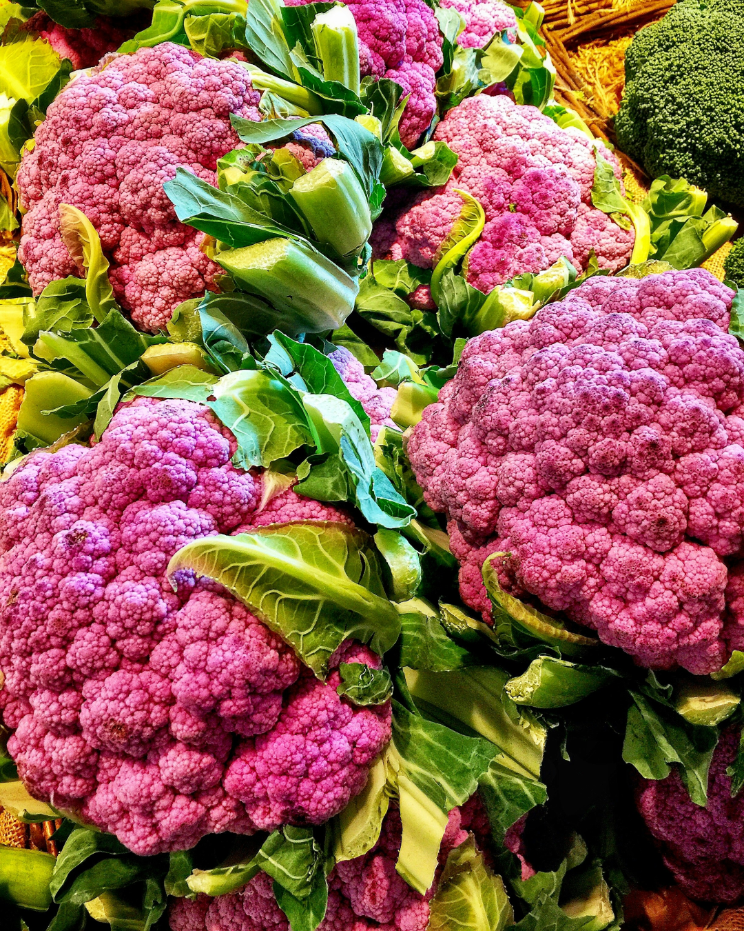 Pink cauliflower heads with green leaves.
