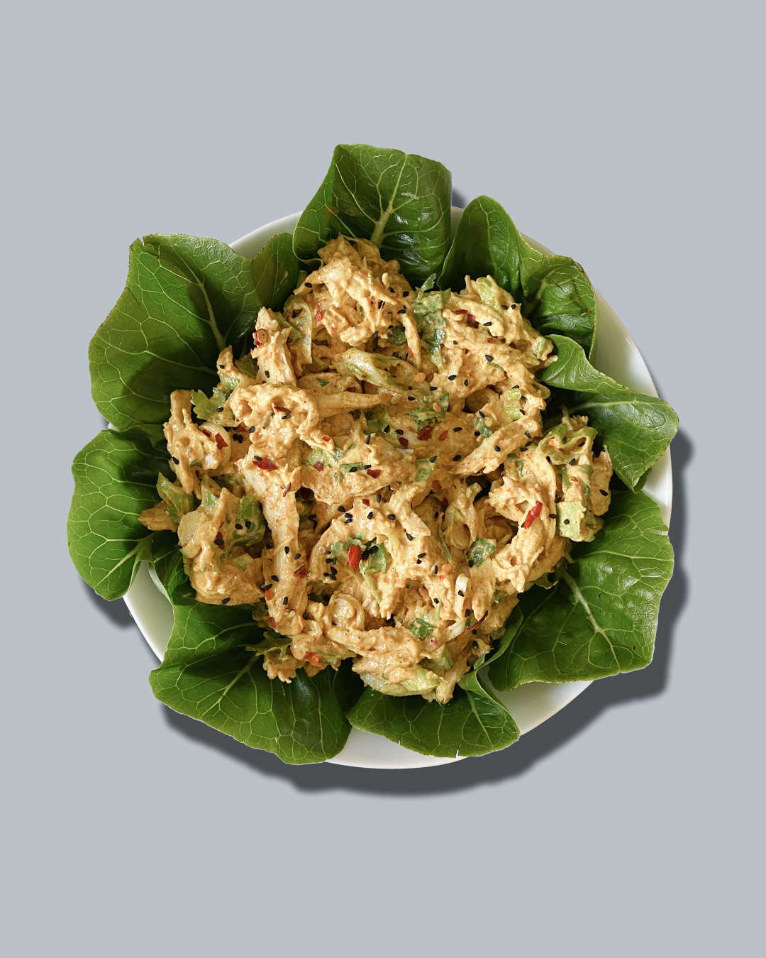 Shredded Chicken Curry Flexible Filler