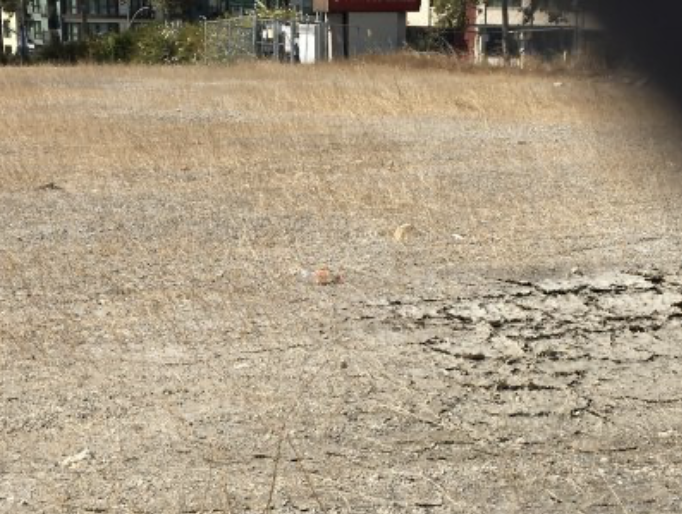 On-Line Petition Re: Asking for Clearnup of Lot at Broadway and Pleasant Valley Blvd.