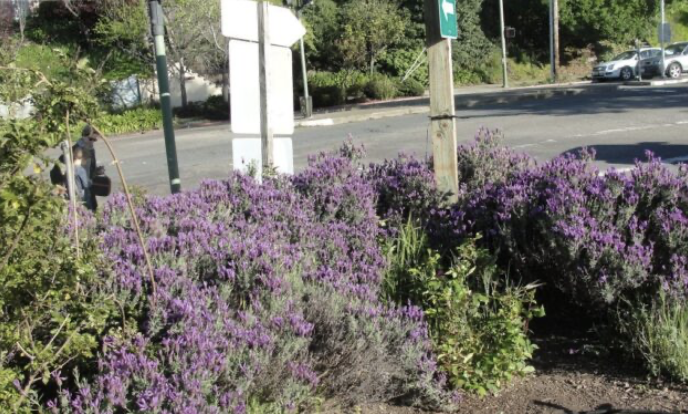 RCPC Announces First Round of Grants