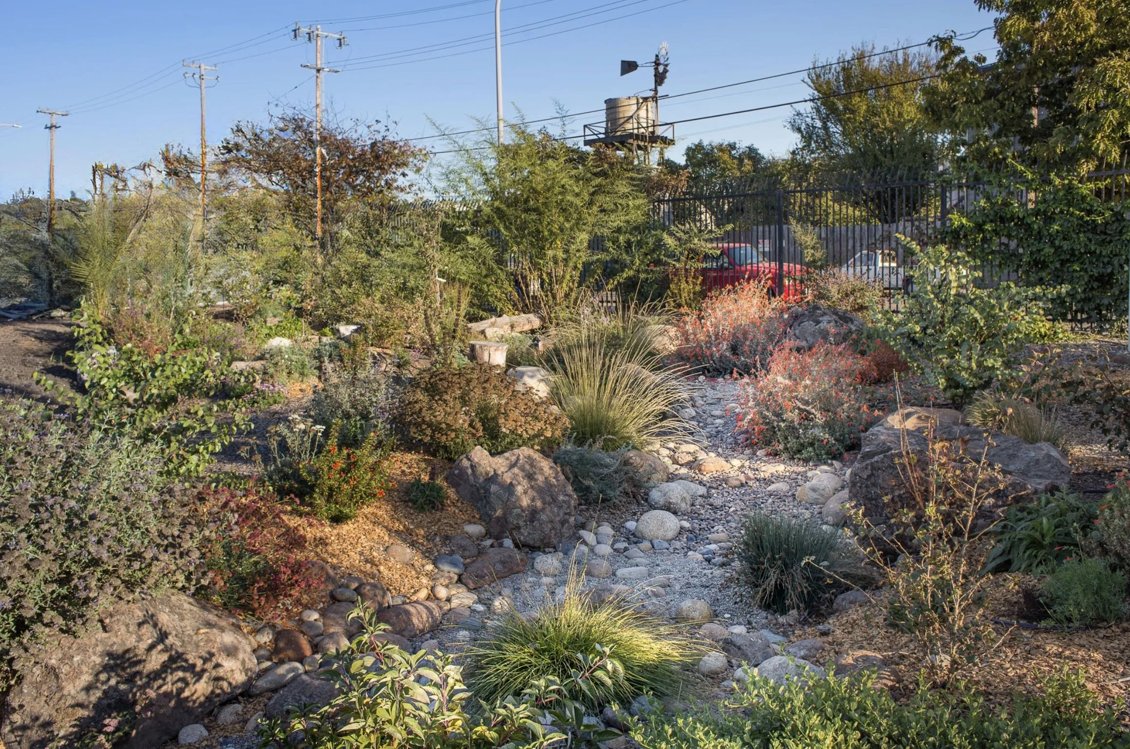 Fire Break Bioswale.jpeg