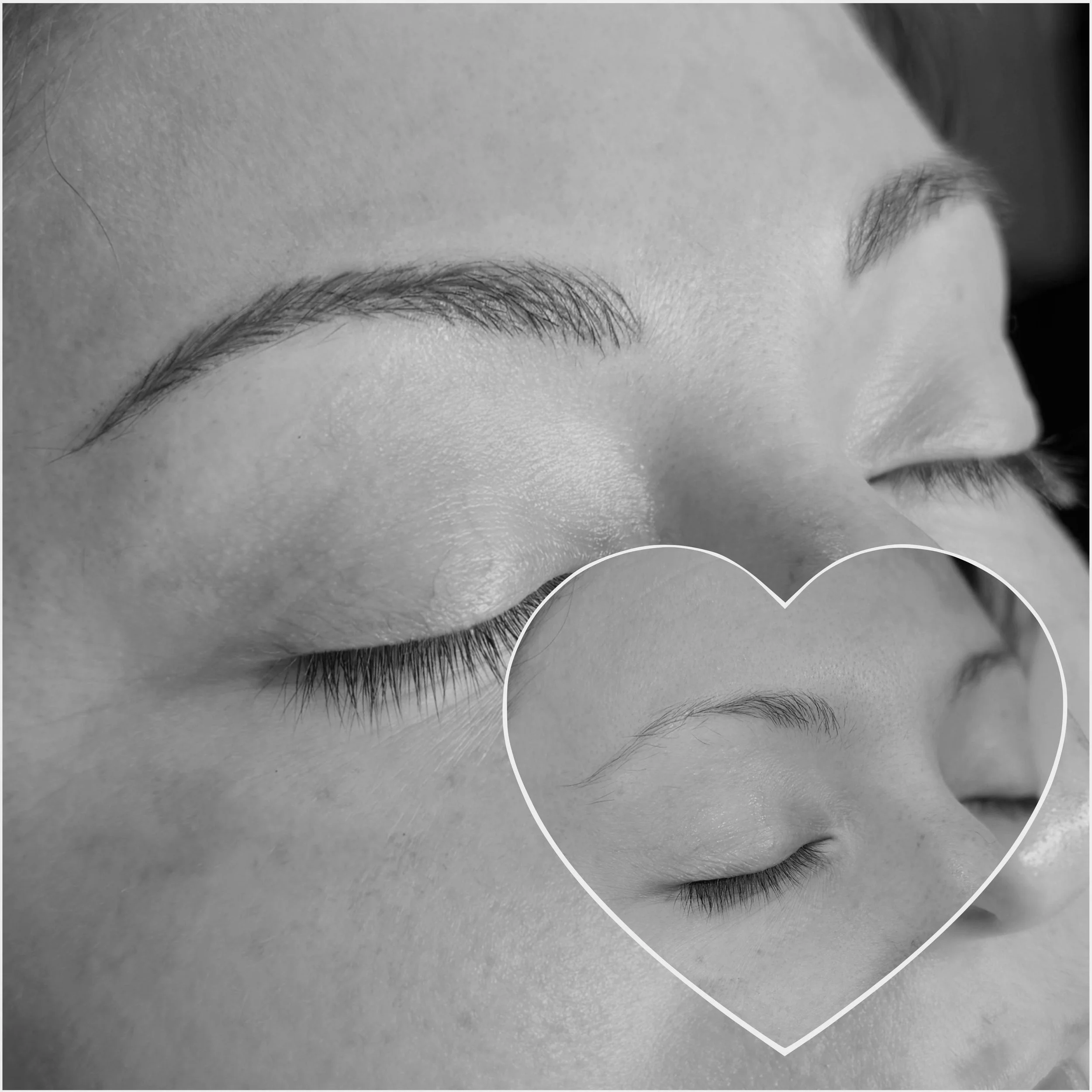 tb brow pic 2.jpg