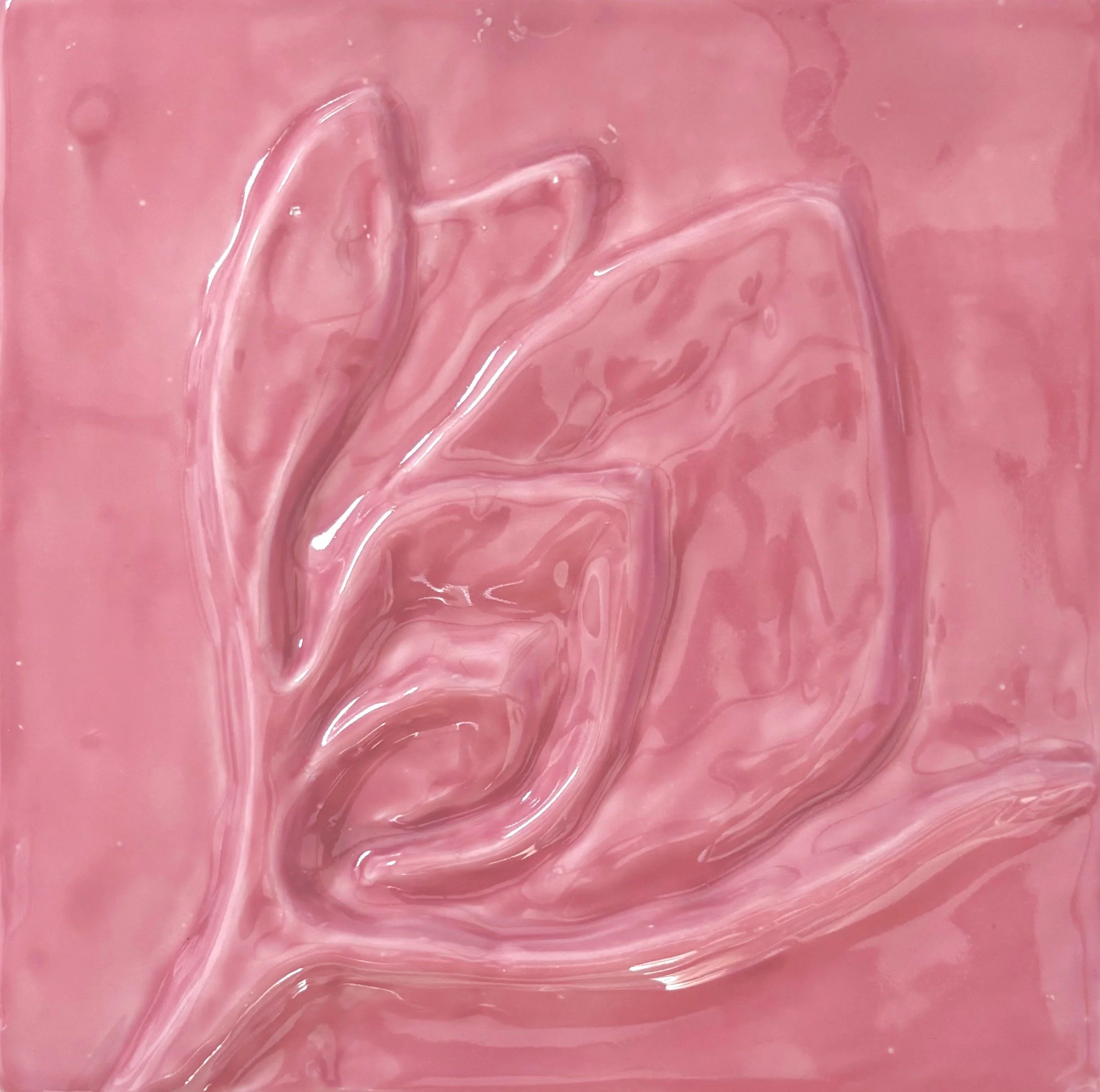 pink tulip.jpg