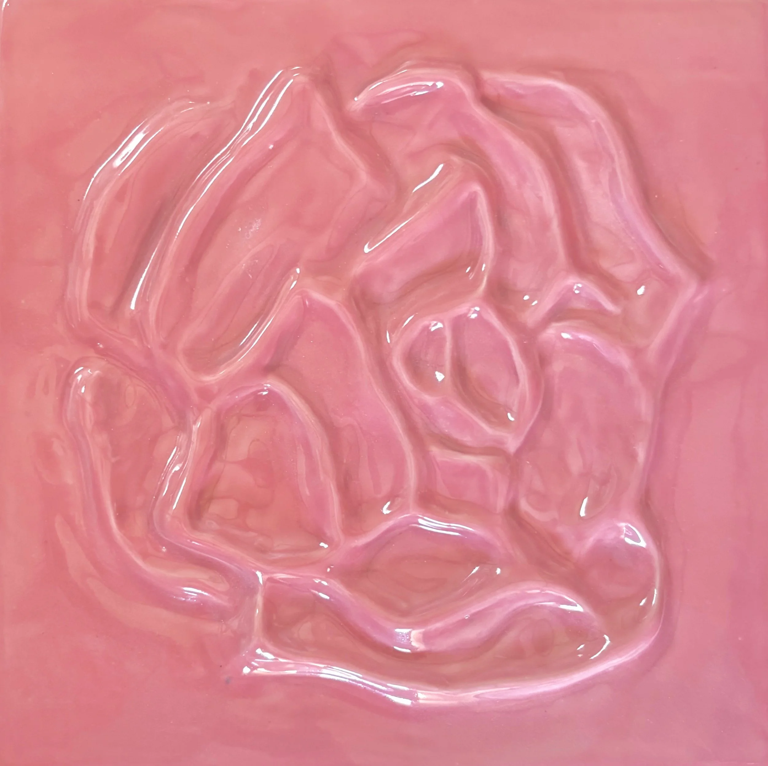 pink rose cropped.jpg