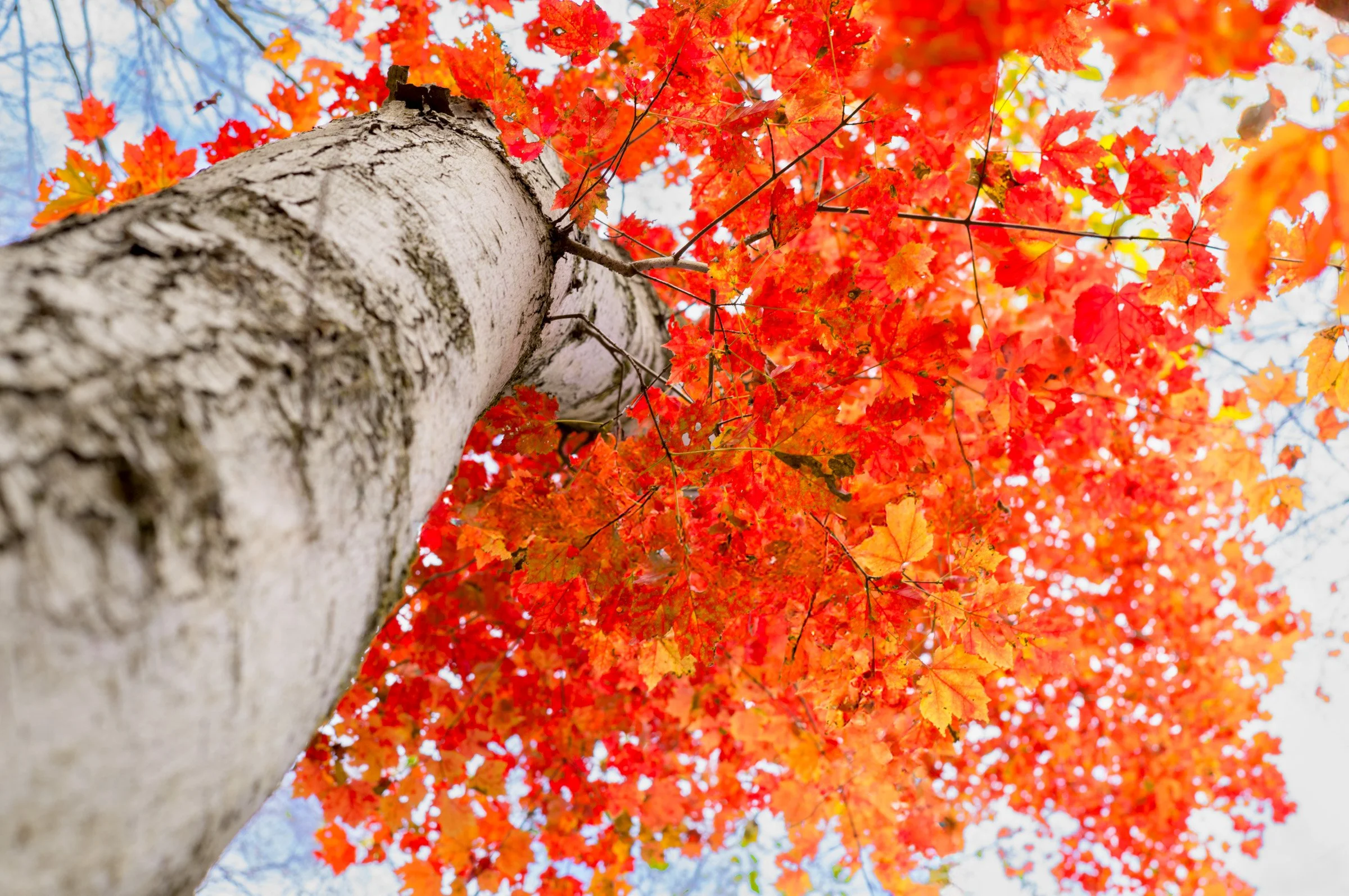 Natural Landscape-21.jpg