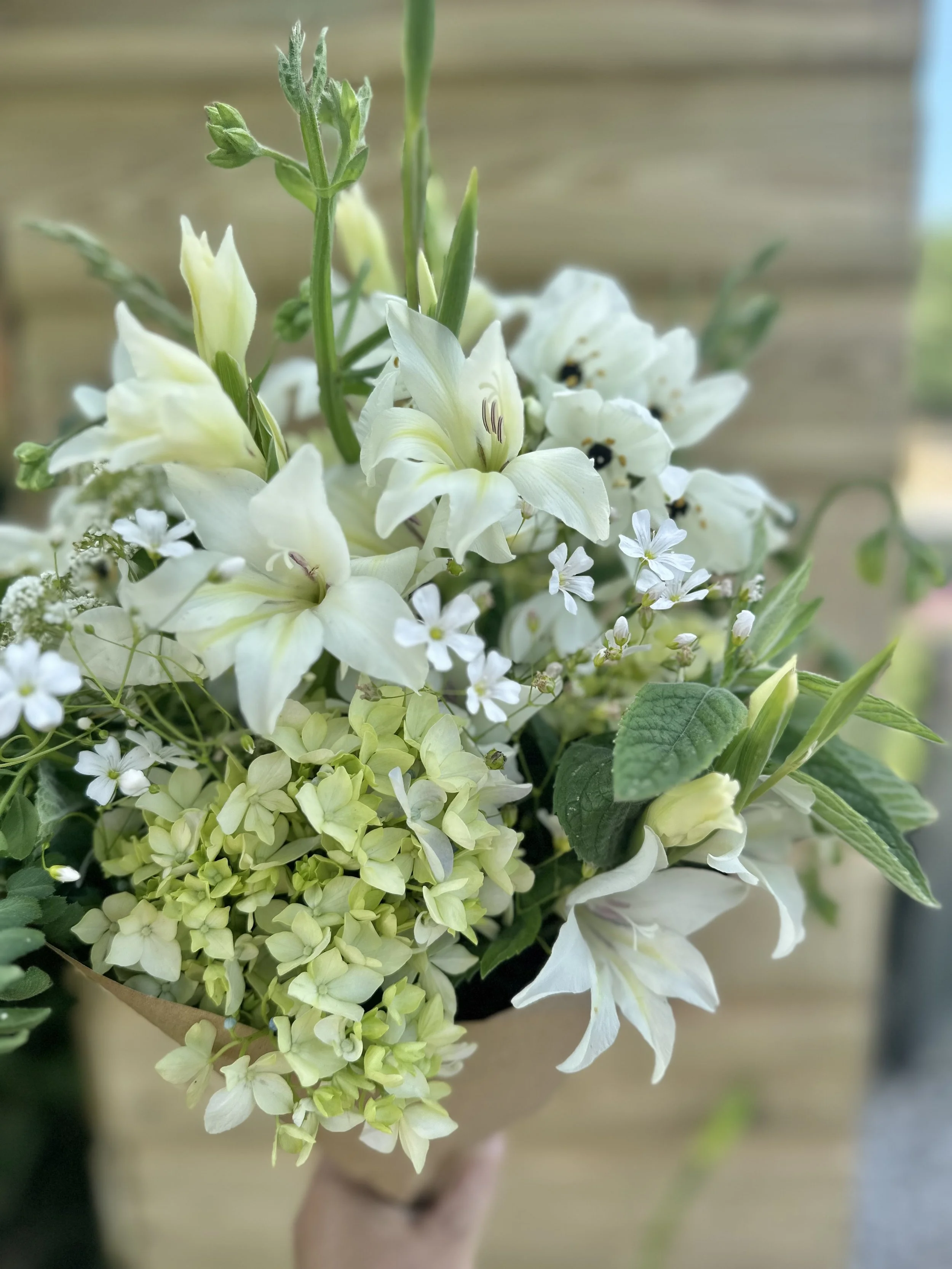 A bouquet of white species gladioli, small white flowers, and green leaves held by a hand, with a blurred wooden background on the Isles of Scilly
