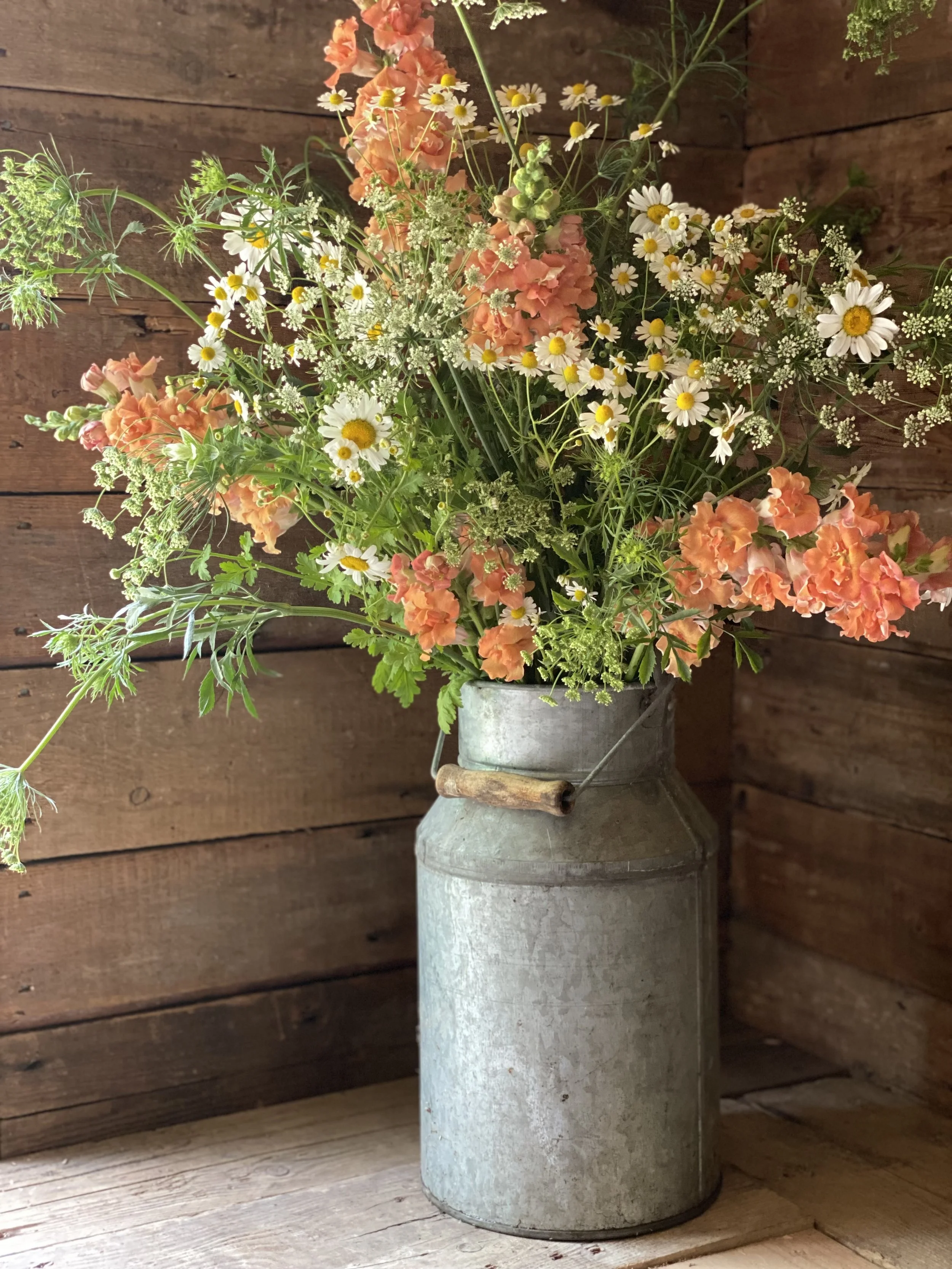 A rustic metal milk churn filled with a mixed cottage style bouquet of orange, white, and yellow wildflowers, placed on a wooden surface against a wooden wall background.
