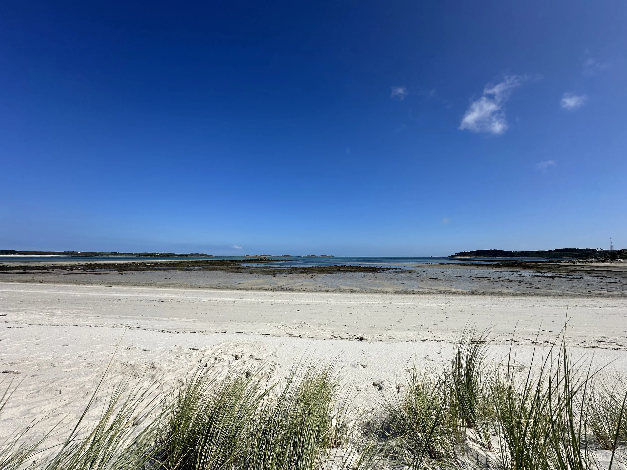 Empty white sandy beach on the Isles of scilly with patches of grass in the foreground, calm water, and a clear blue sky with a few clouds.