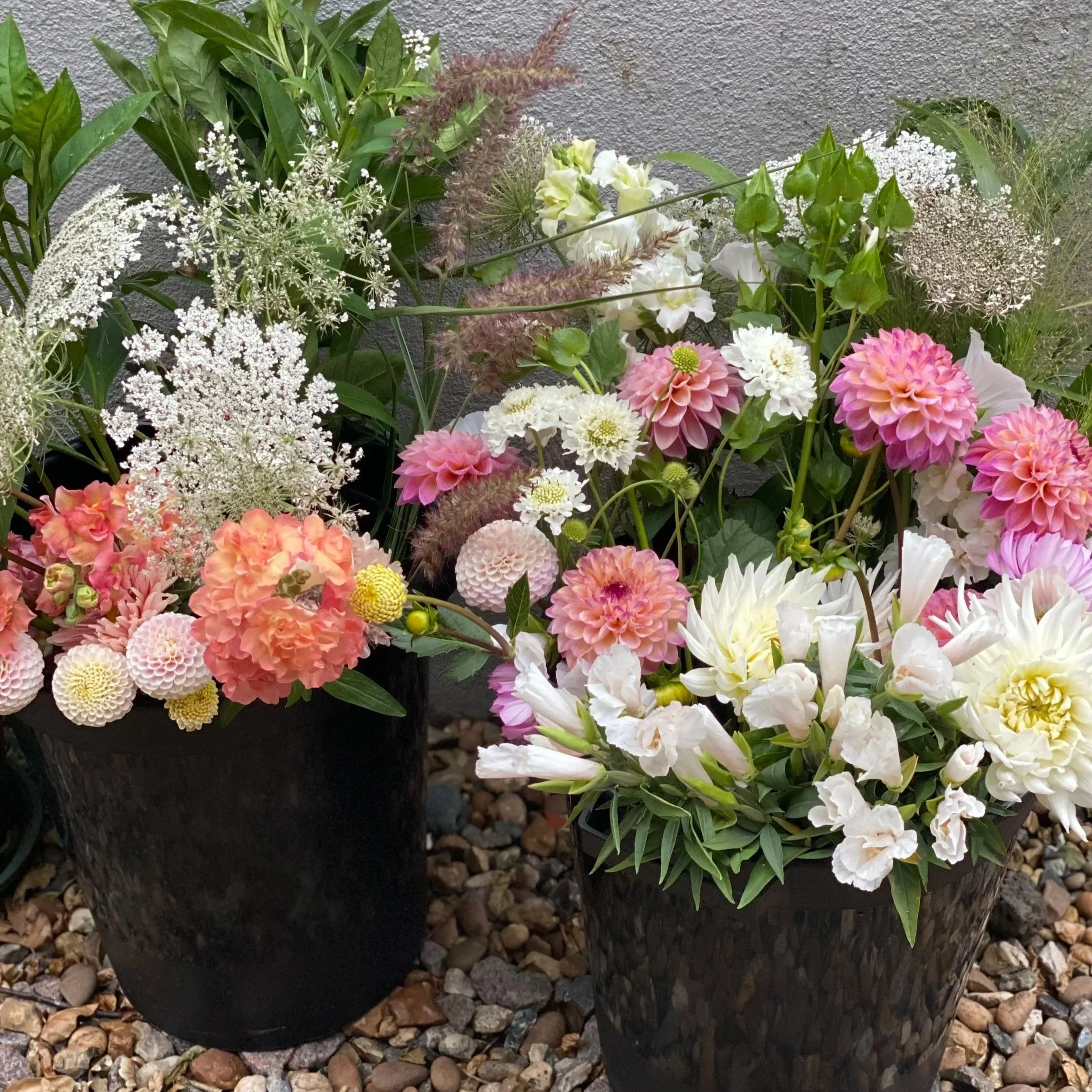 Buckets-of-seasonal-flowers