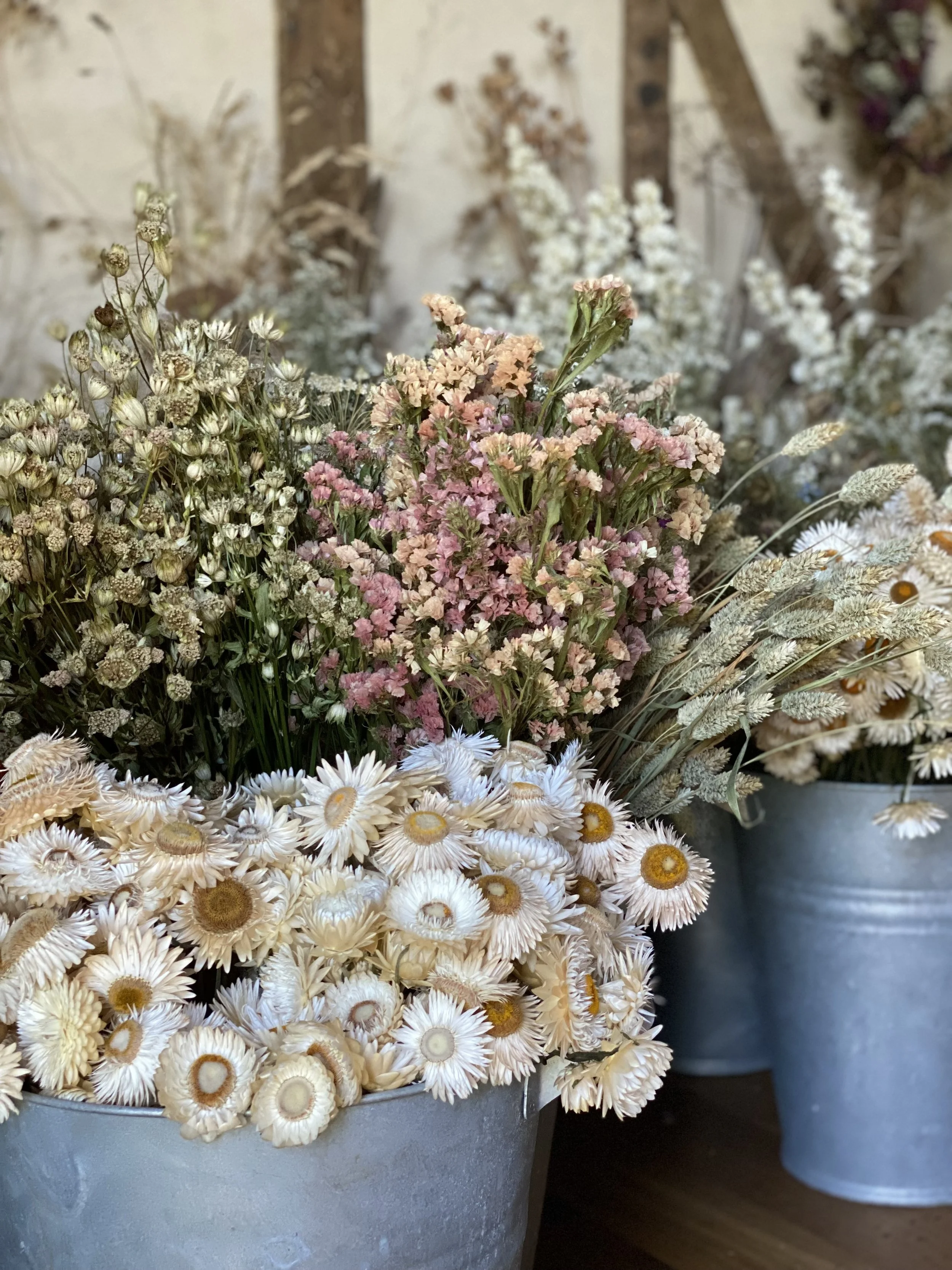 Arrangement of dried flowers in metal buckets, including strawflowers and small pink and white blooms, set against a wooden background.