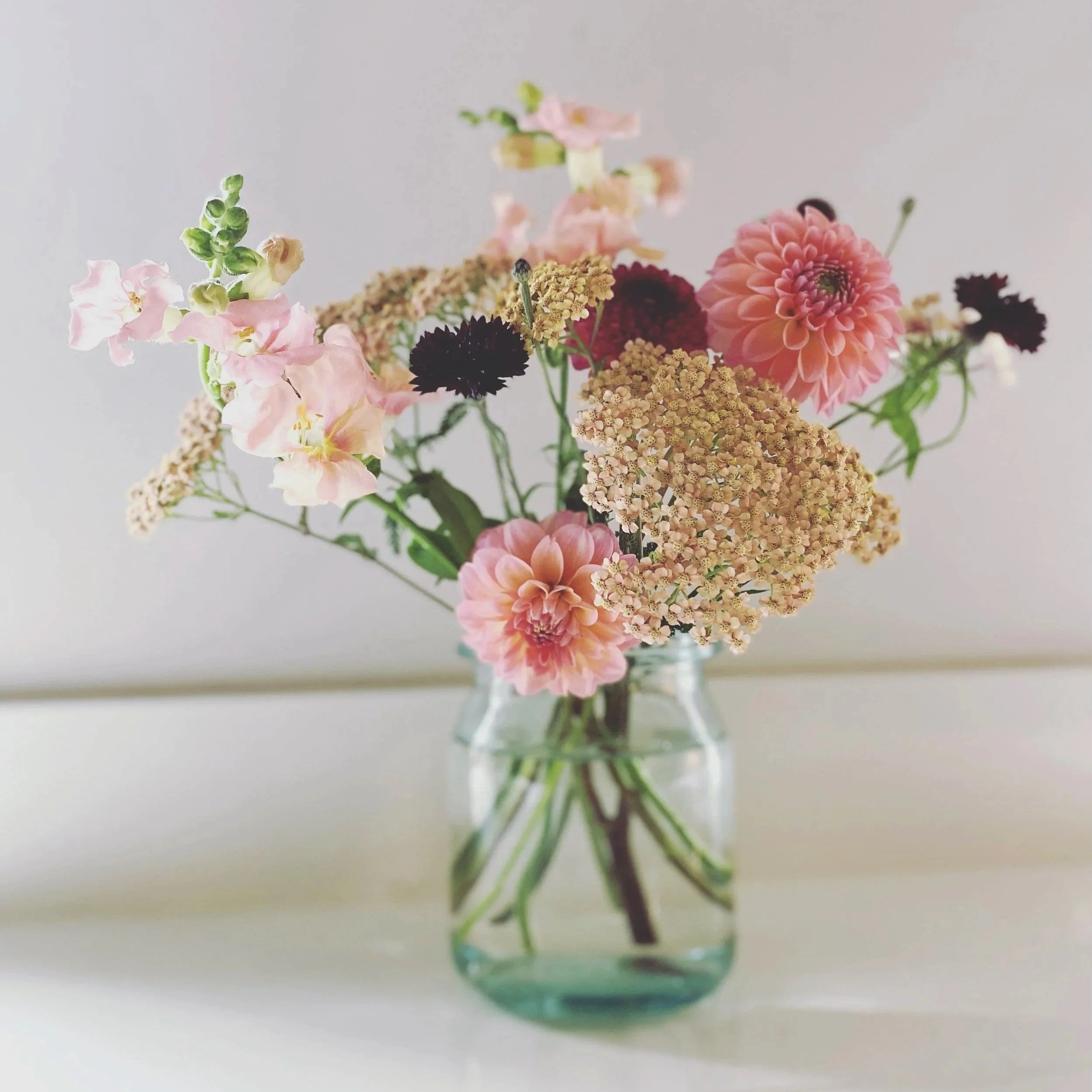 subscription-flowers-in-a-vase