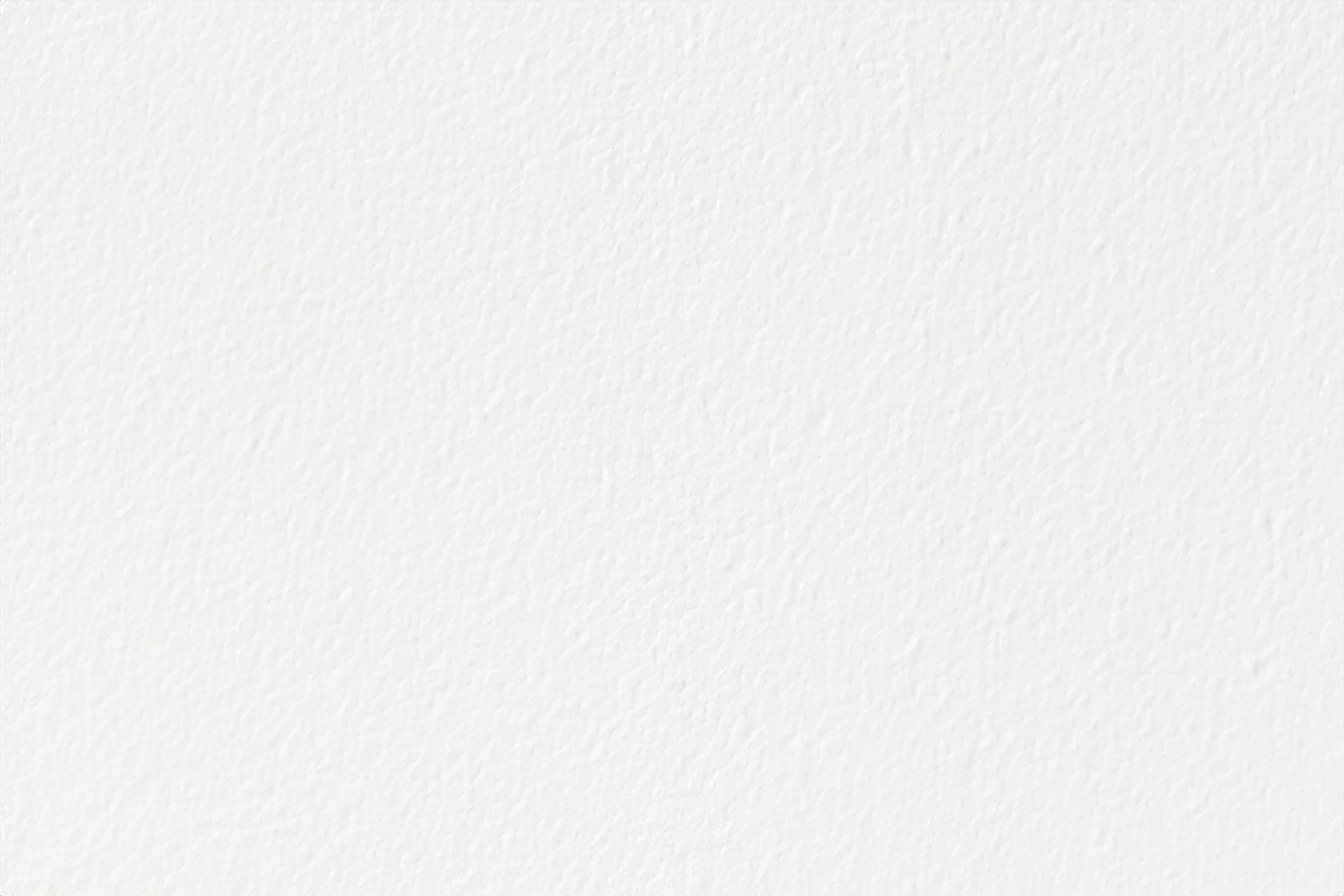 Blank white textured paper background.