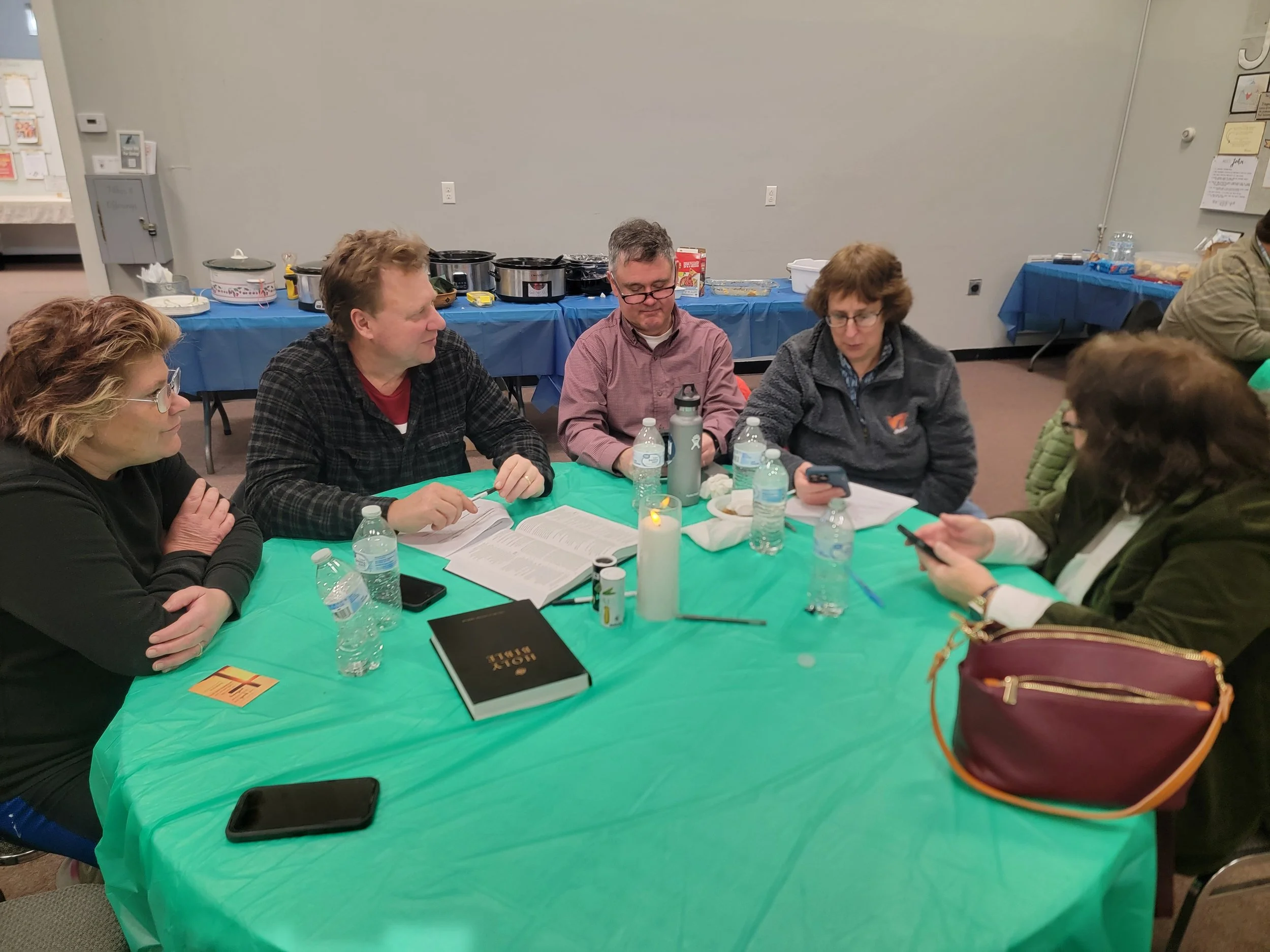 Group of six people sitting around a green table, engaging in discussion with books, papers, and bottled water on the table, in a room with a blue tablecloth-covered buffet in the background.