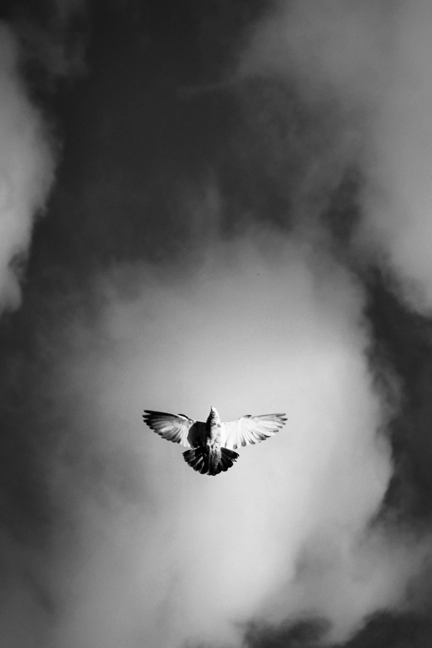 A black and white photograph of a pigeon in mid-flight against a cloudy sky.