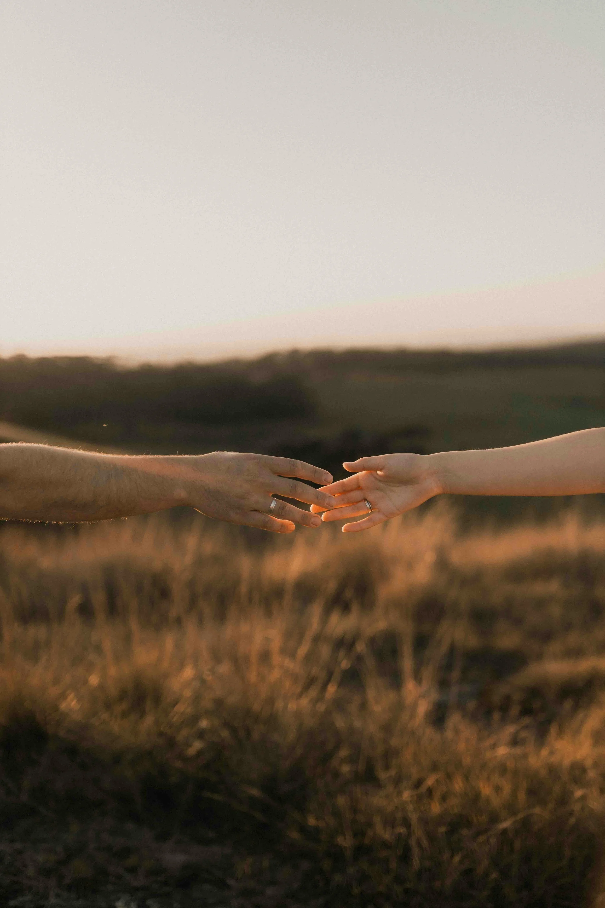 Two hands reaching out towards each other in an open field during sunset.