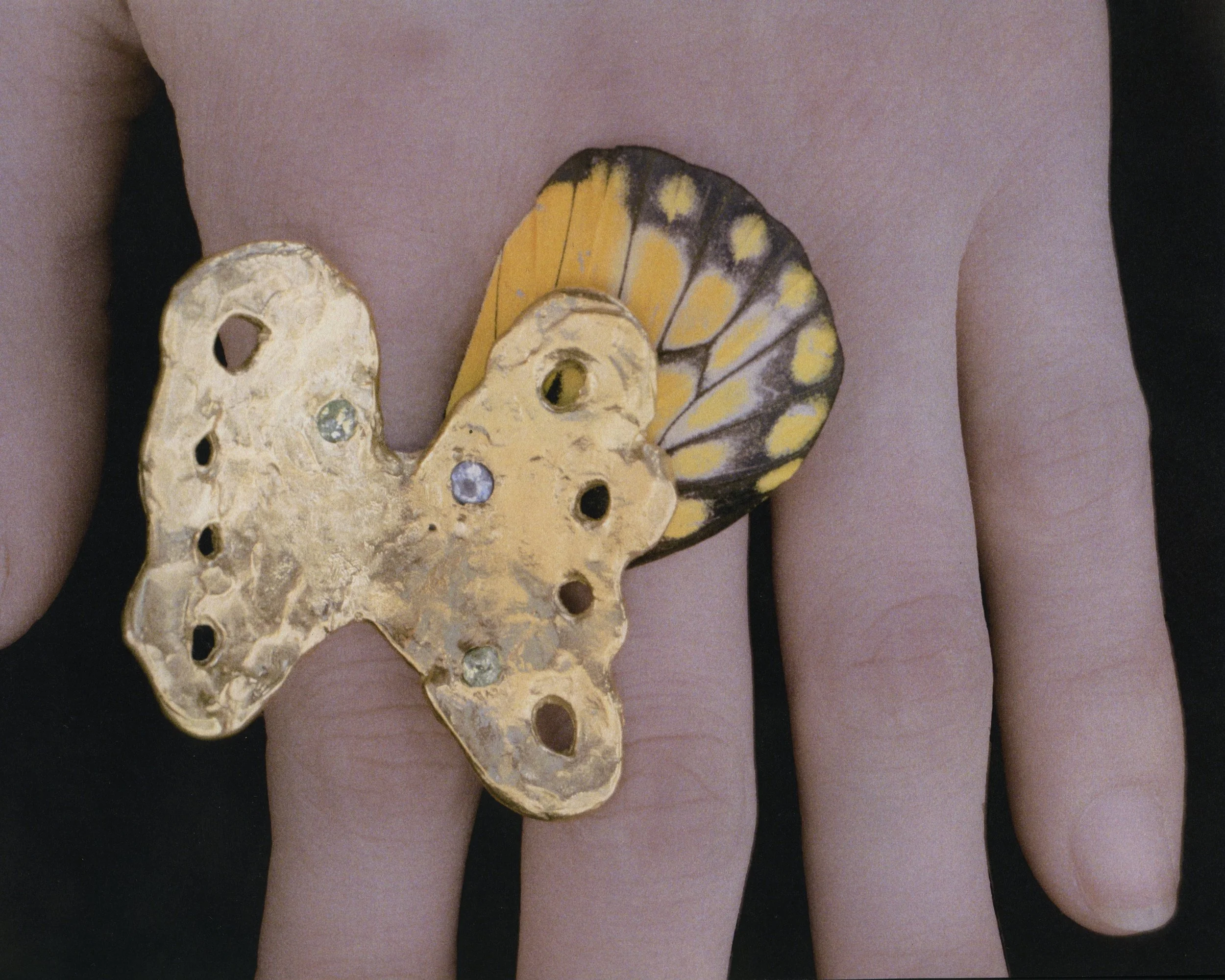 butterfly_ring6.jpg