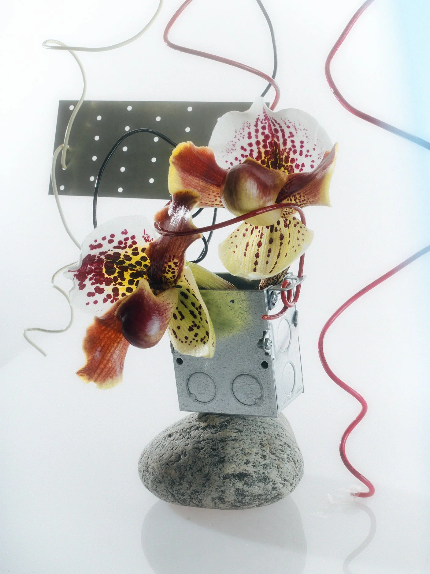 Studio Session-354.jpg