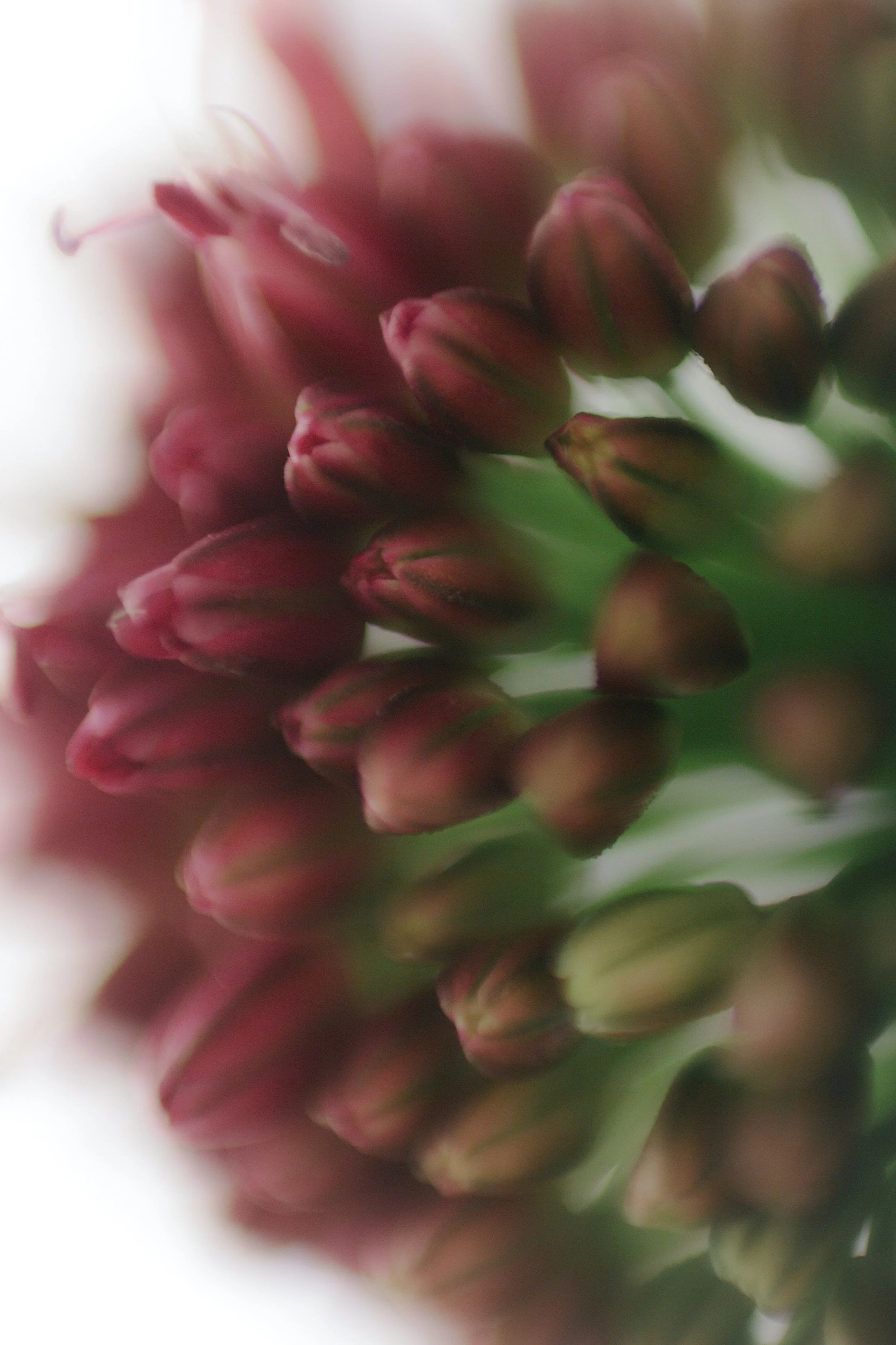 Studio Session-325.jpg