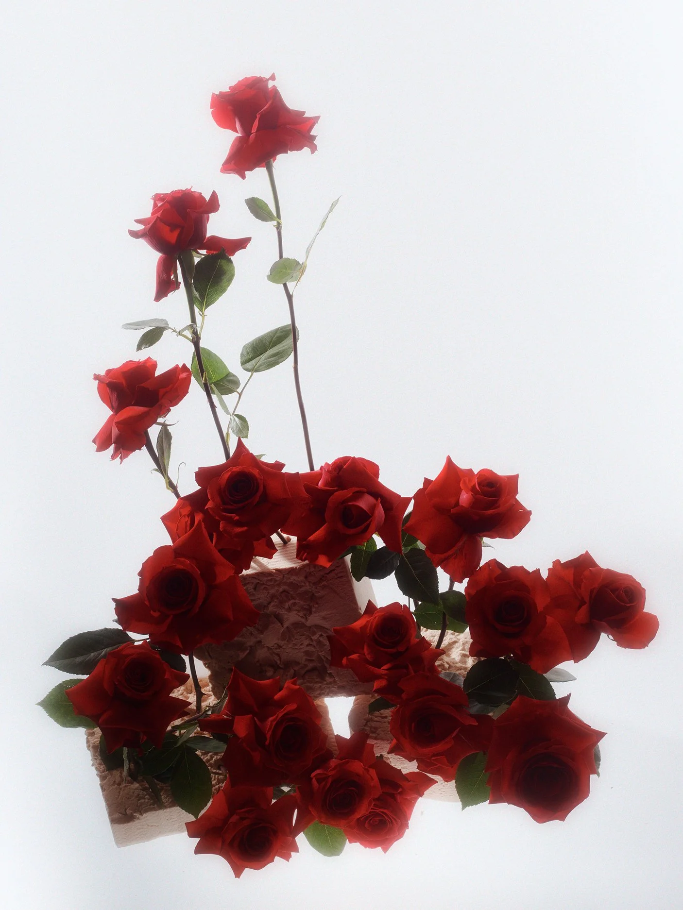 Studio Session-134.jpg