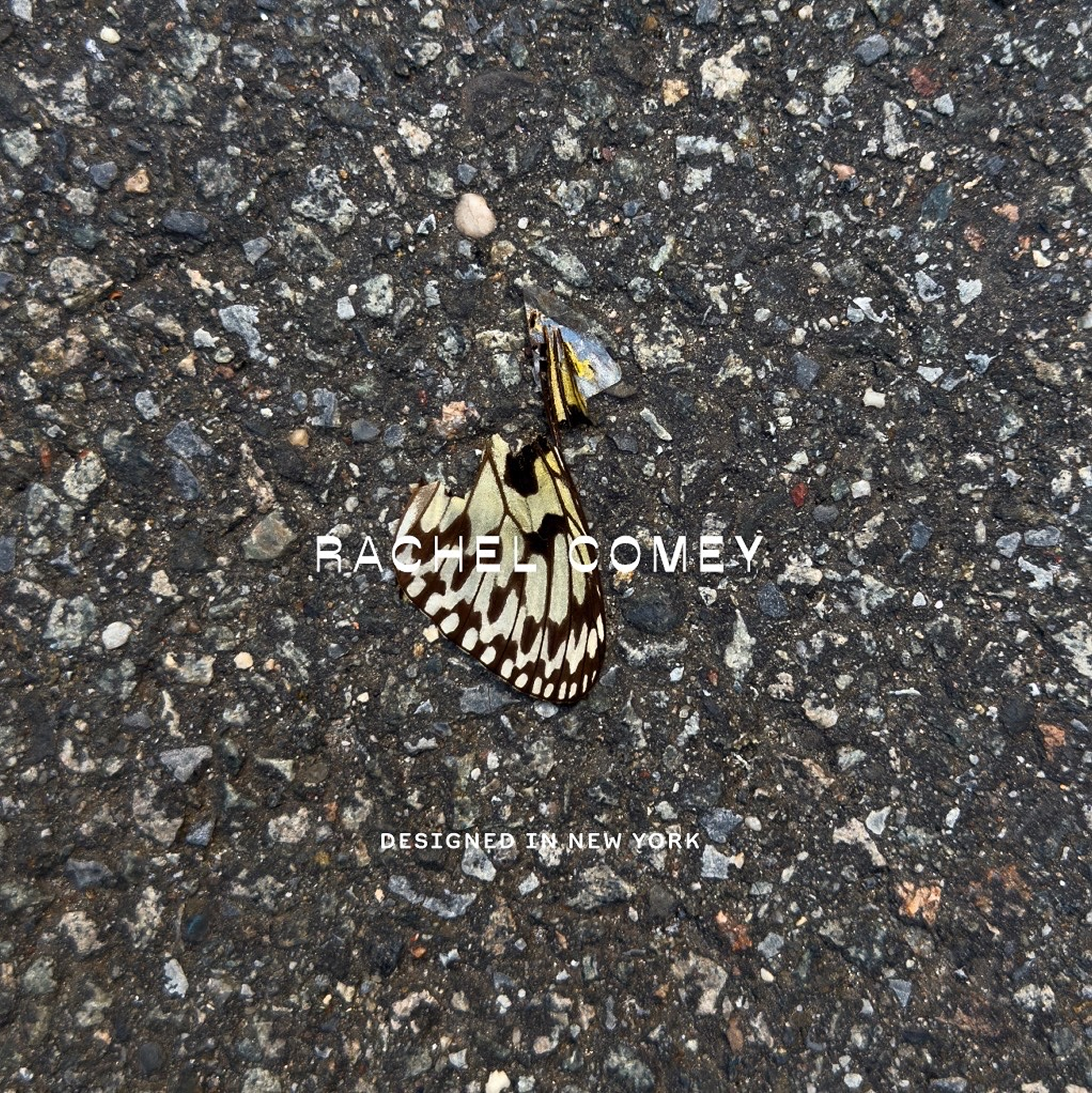 41A28773-029E-4A38-AC58-ADFFF00040A1 1.png