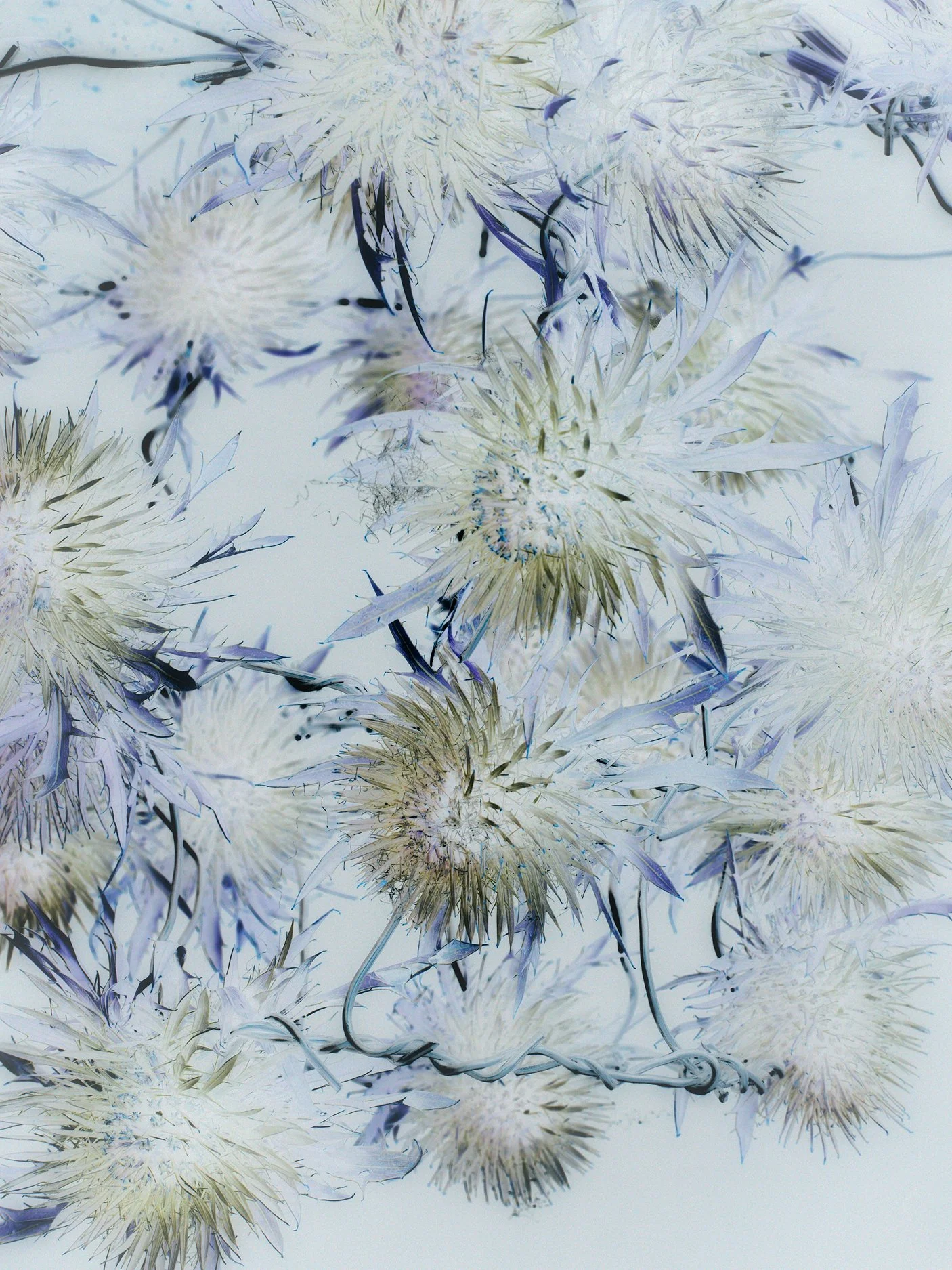 Studio Session-570.jpg