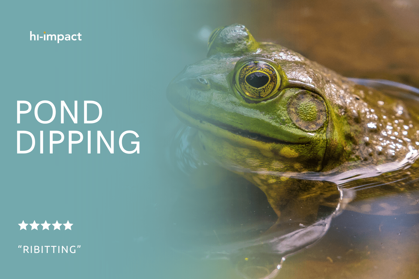 STEM Workshops: Pond Dipping