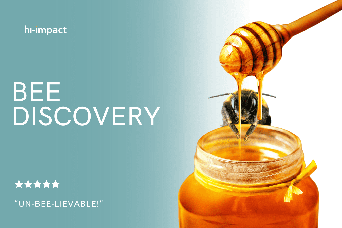 STEM Workshops: Bee Discovery