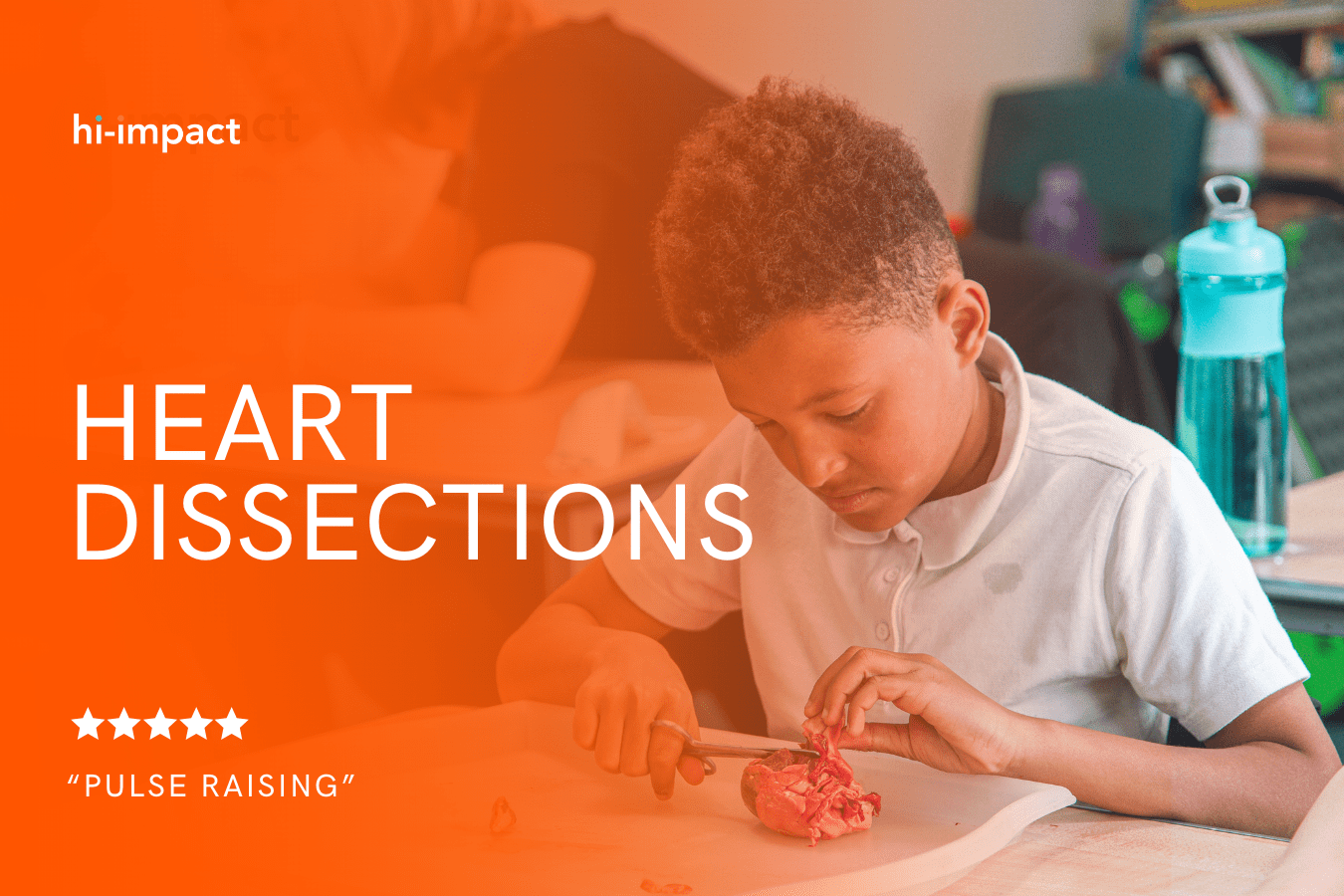 STEM Workshops:  Heart Dissections
