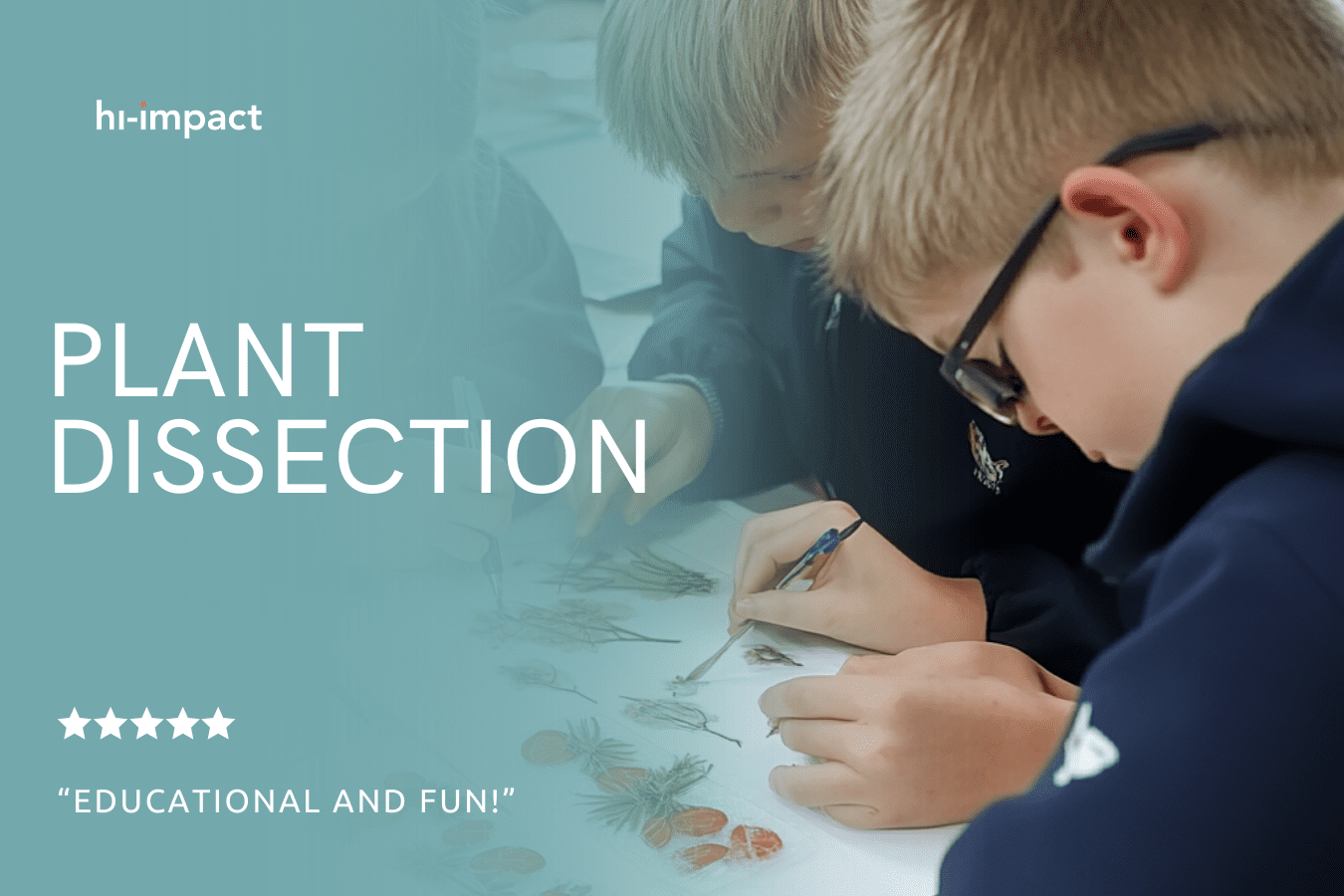 STEM Workshops: Plant Dissection