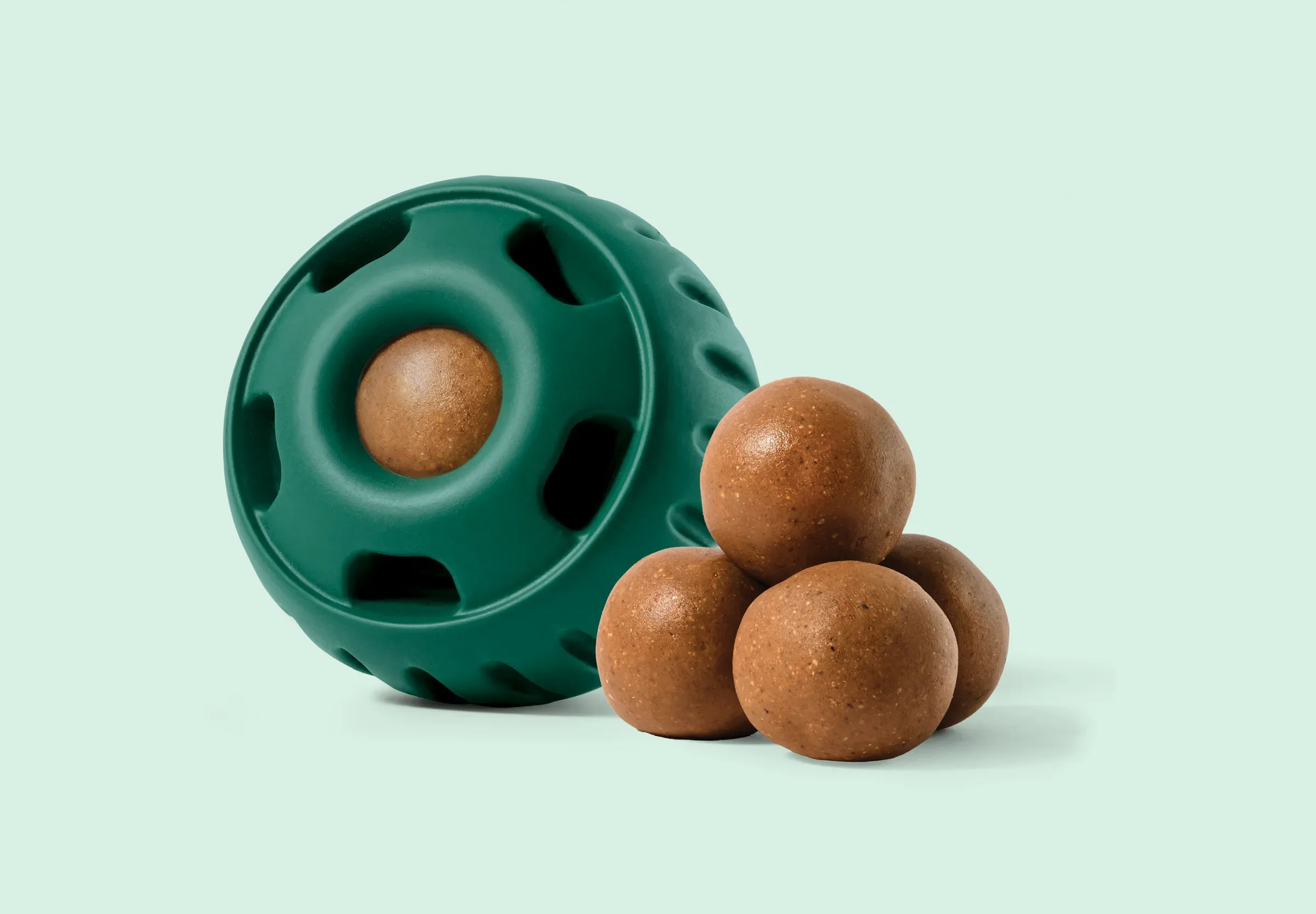 Dog walking near me, Dog walker near me, Dog walking service, Professional dog walker, Erie dog walker, Frederick dog walker, Dog walker in Broomfield, Colorado, Midday dog walking, daily dog walking