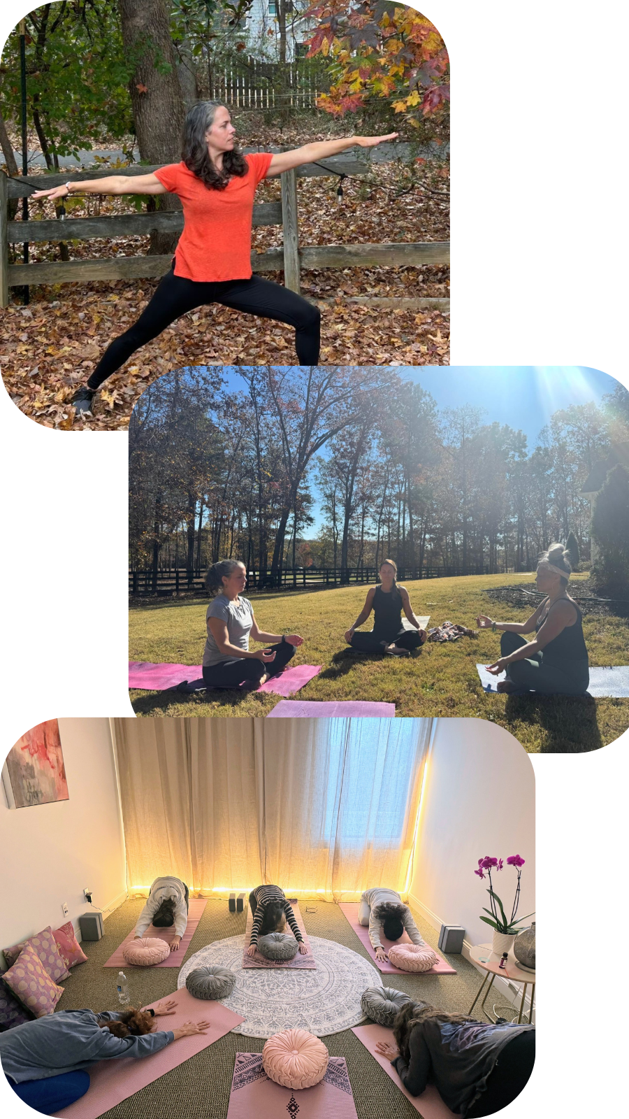 Three women are practicing yoga outdoors on mats, with trees and sunlight behind them. One woman in an orange shirt is in a Warrior pose. Another group of three women are meditating on yoga mats in a park with trees and sunlight. Inside, four women are doing yoga on mats in a cozy room with warm lighting, cushions, and a dog lying nearby.