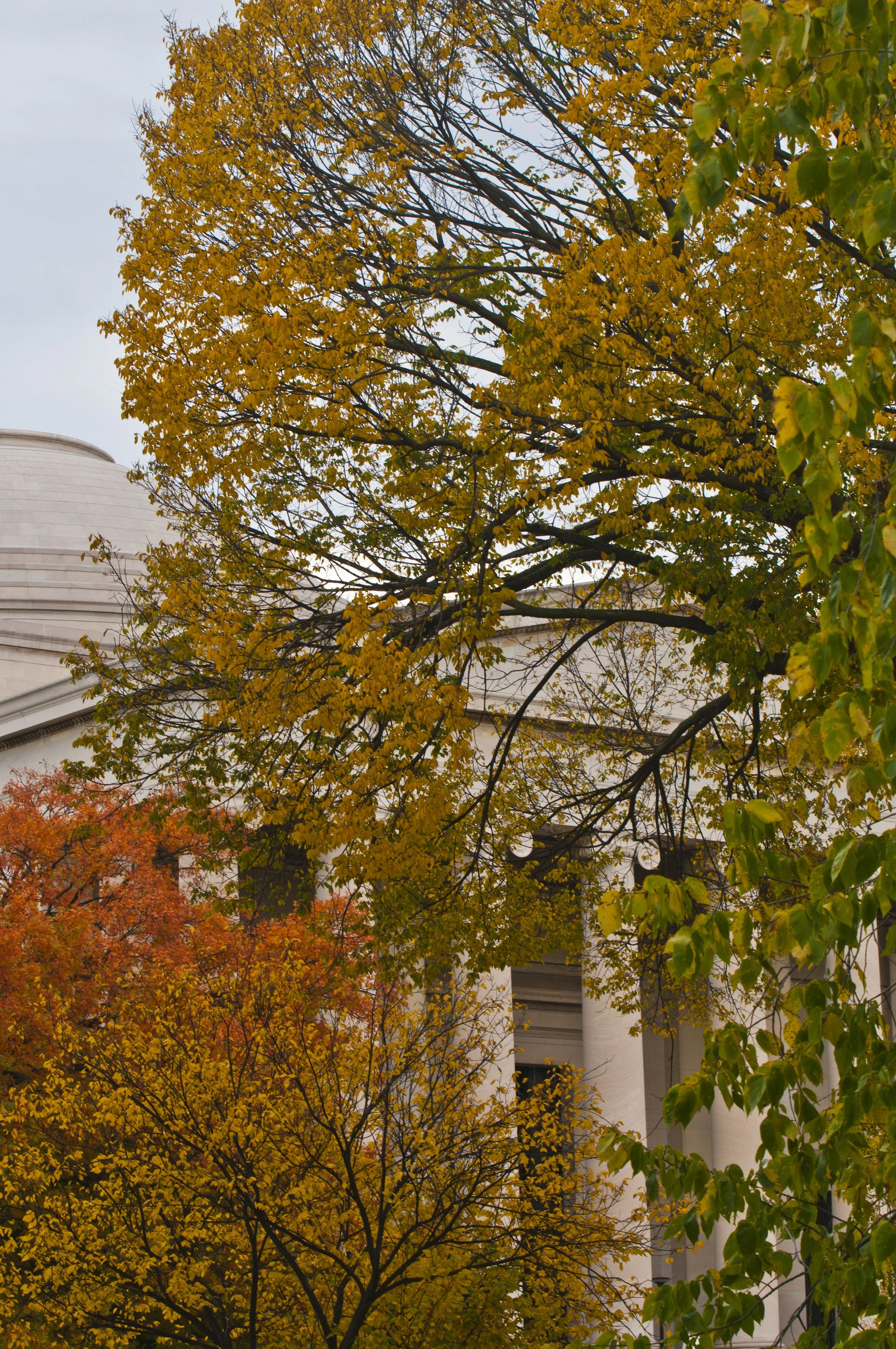 West building fall 2013-21.jpg