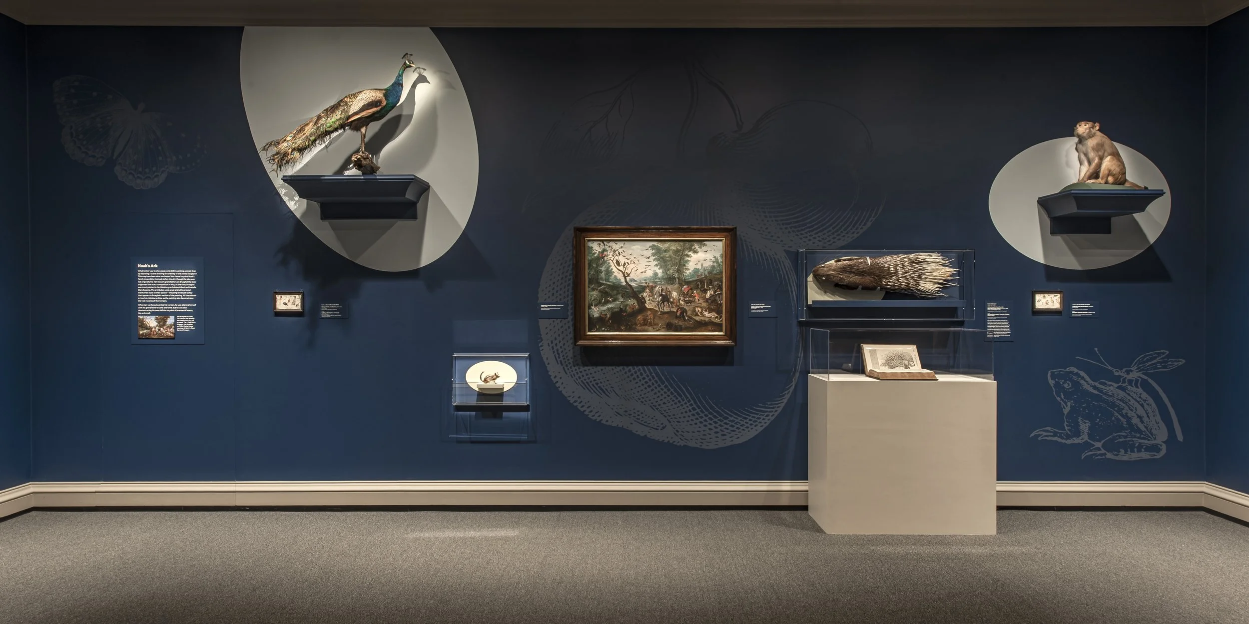 Little Beasts-405.jpg