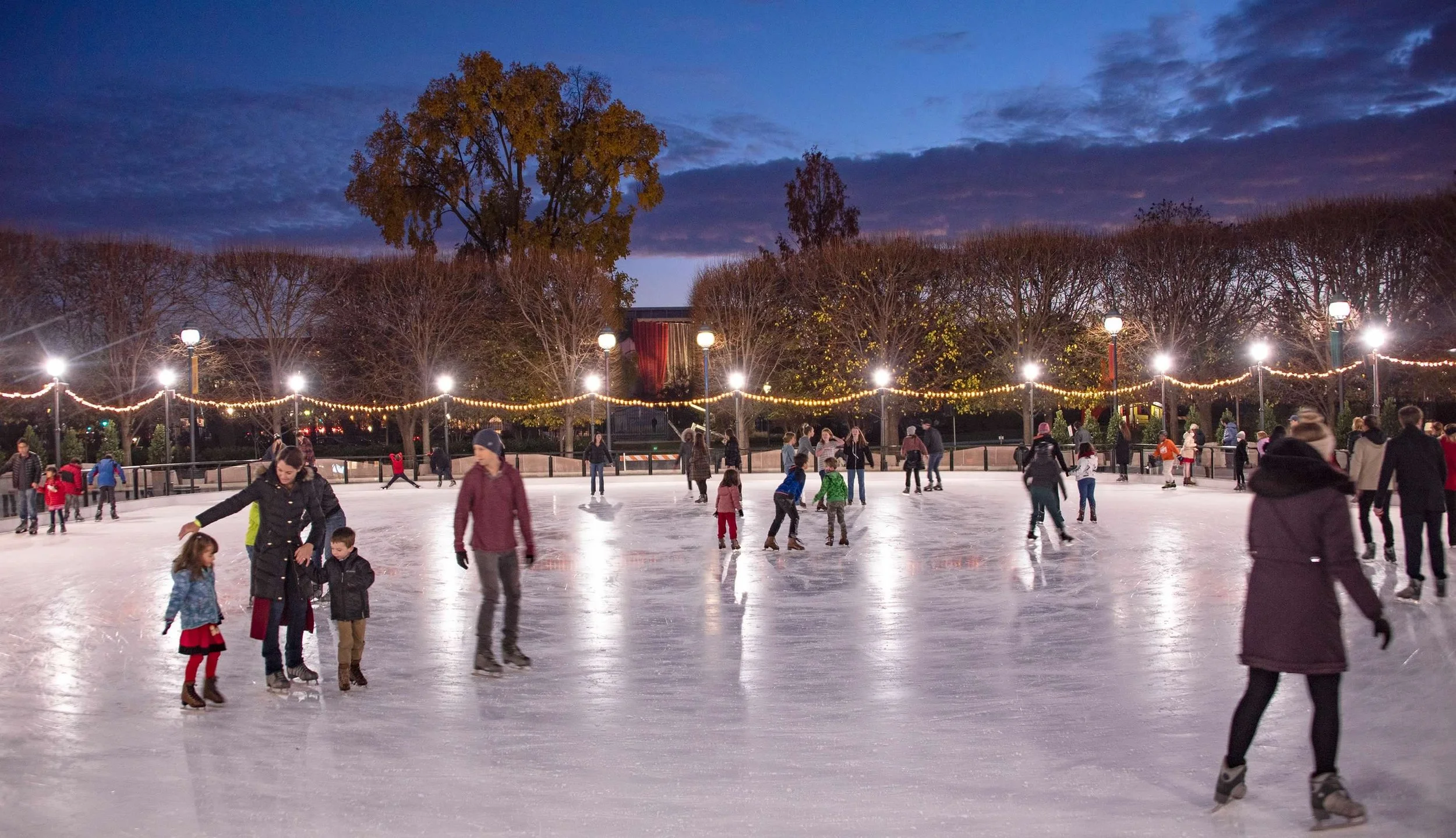 N.G.A. Sculpture Garden-Skating