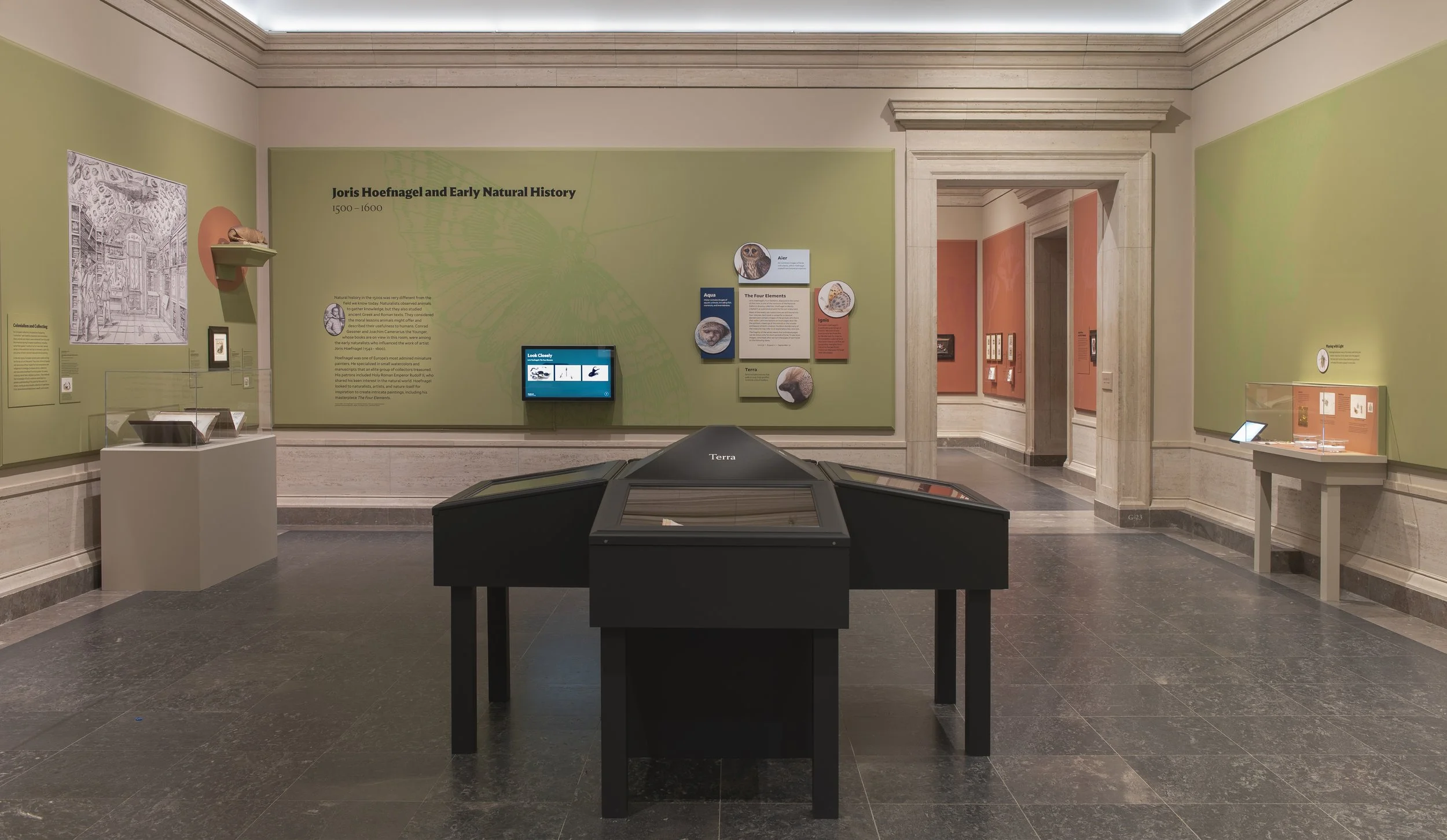 Little Beasts-332.jpg