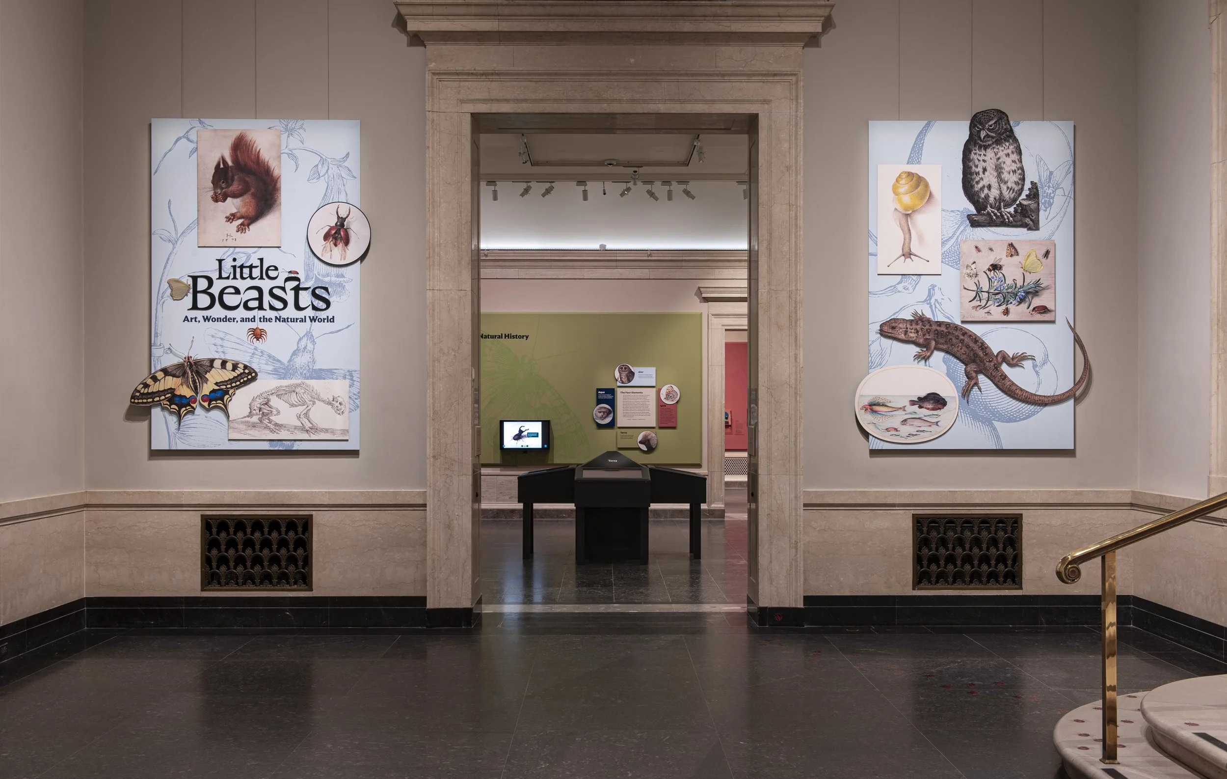 Little Beasts-330.jpg