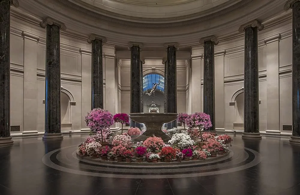 Rotunda with Azaleas