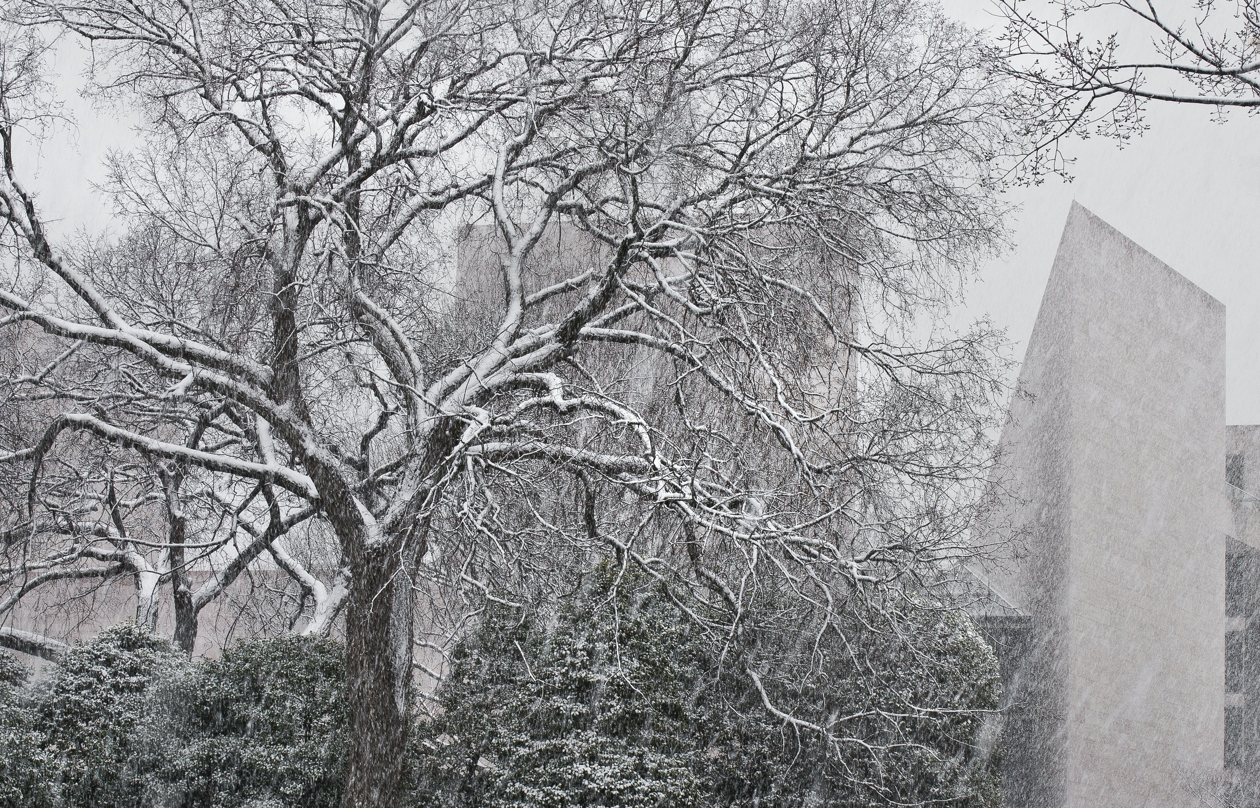 west building in snow 2014-039.jpg