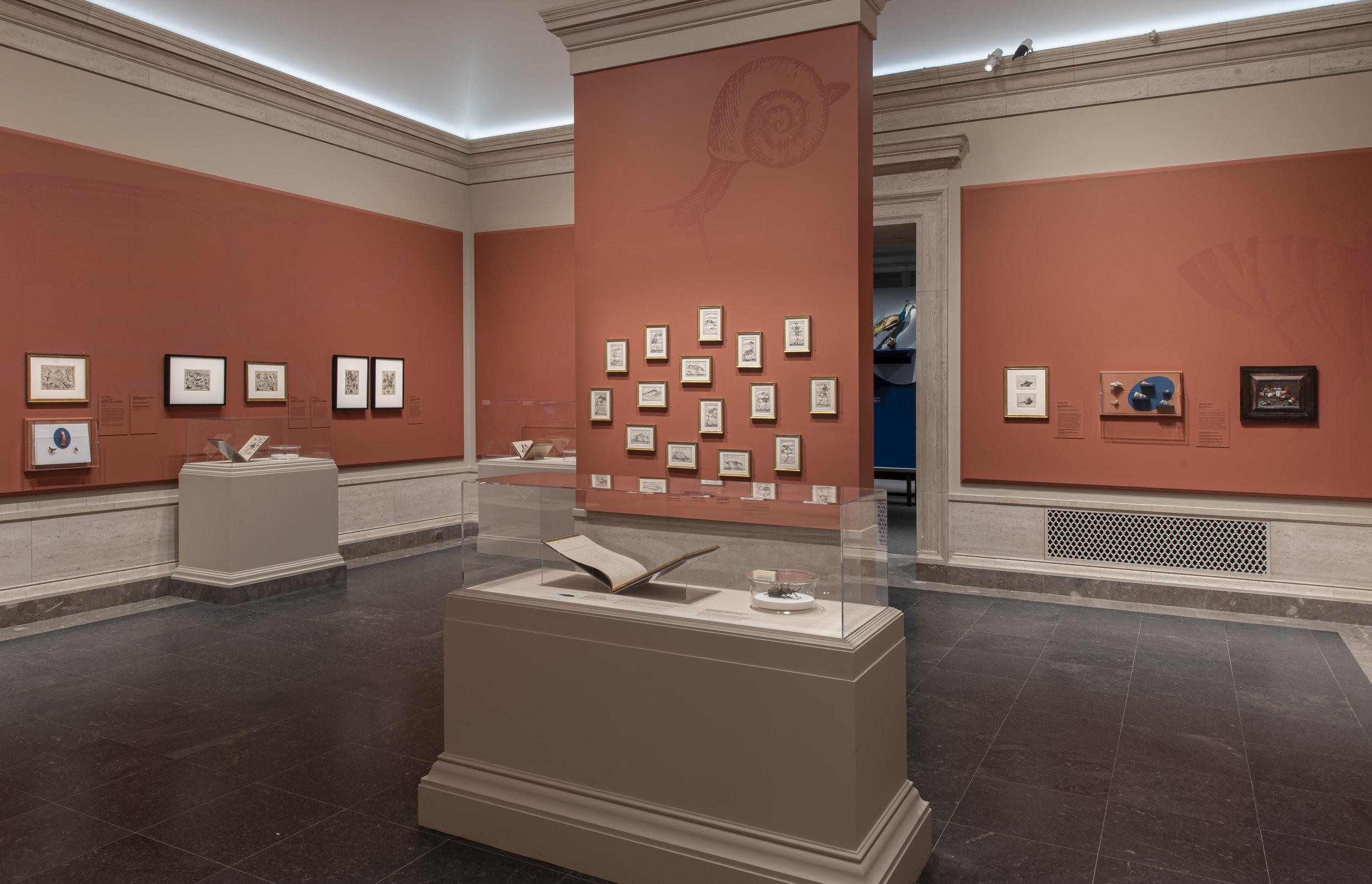 Little Beasts-372.jpg